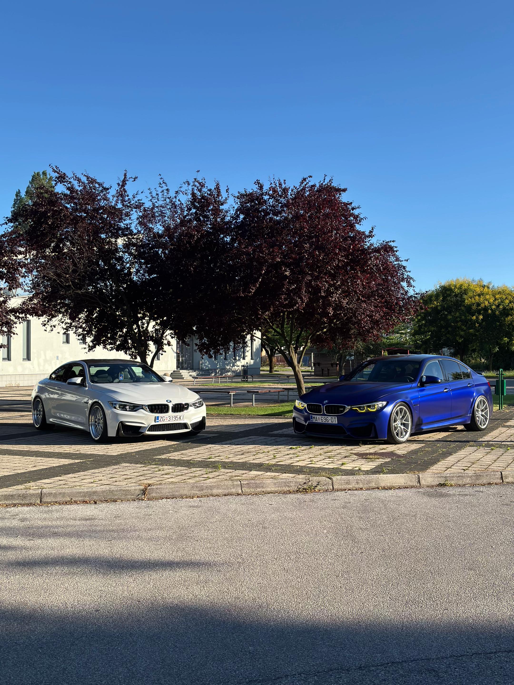 @auto