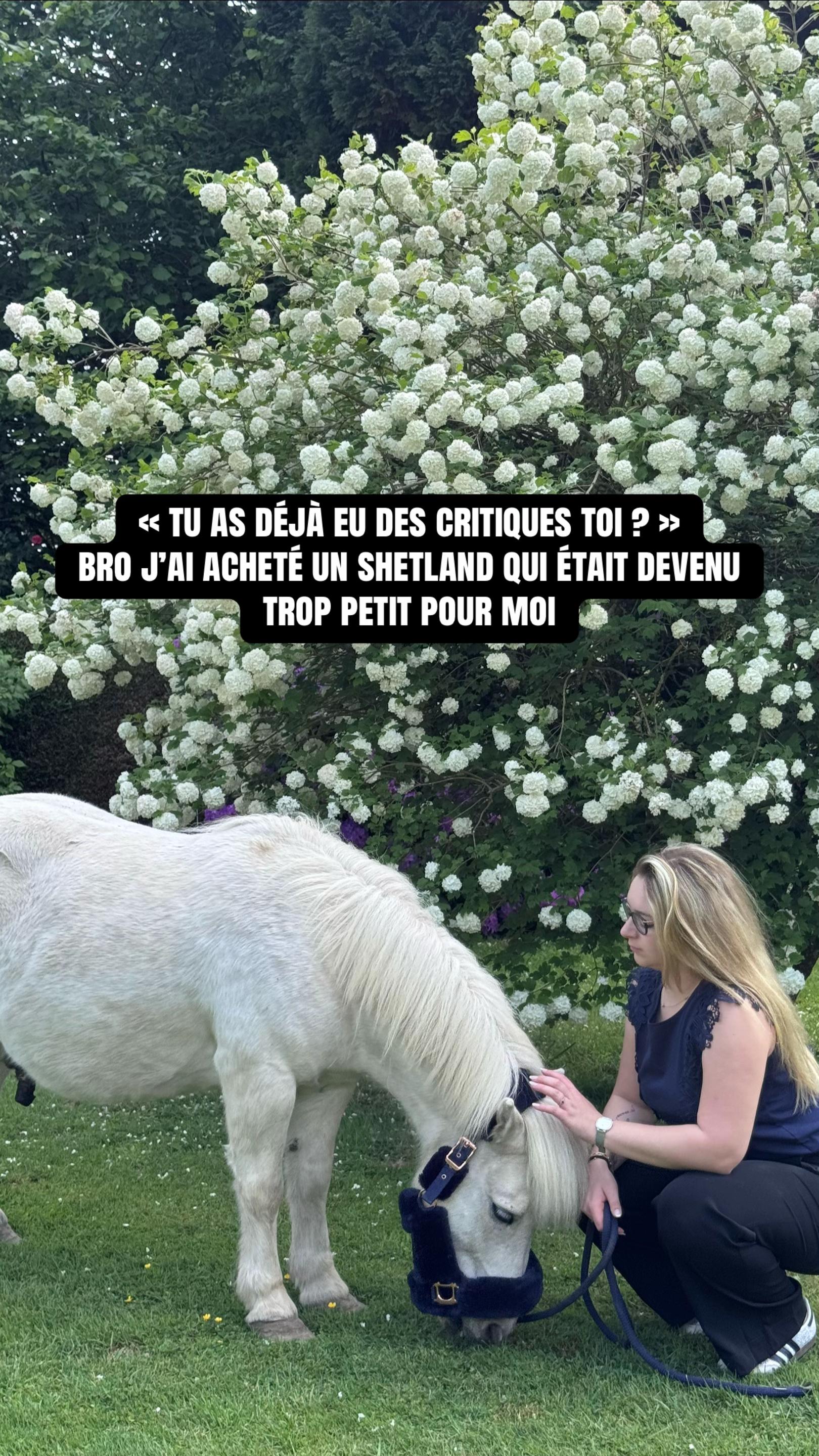 @benjyylepetitponey