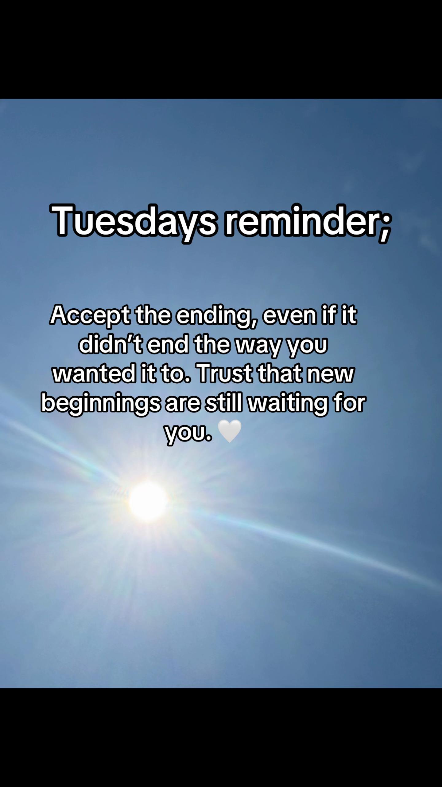 @shannon✈️