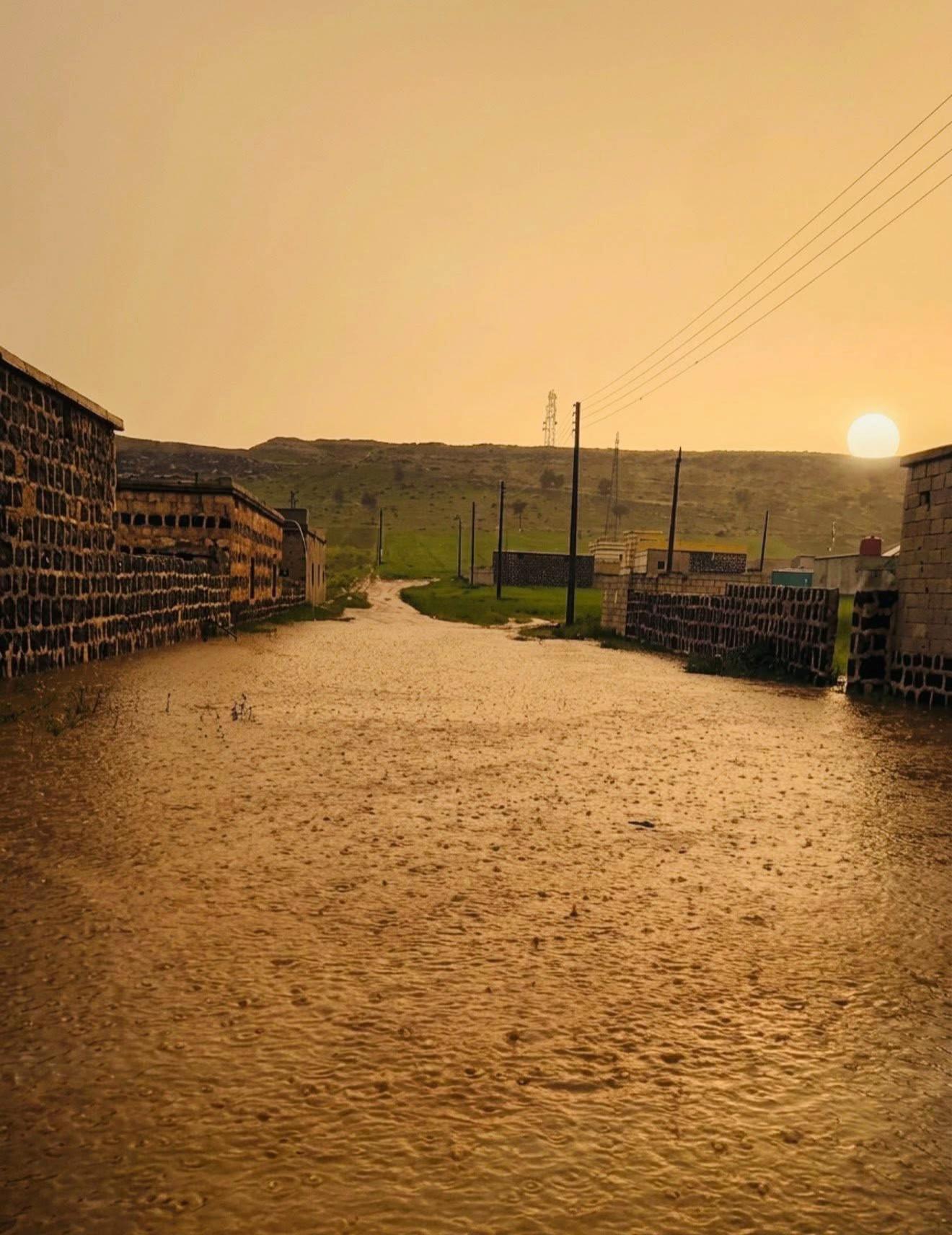 @﮼حسون