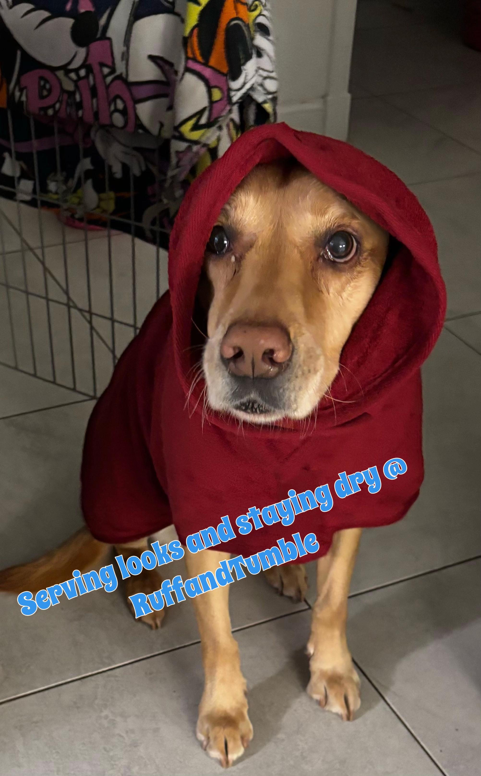 @Goldenwaggytales