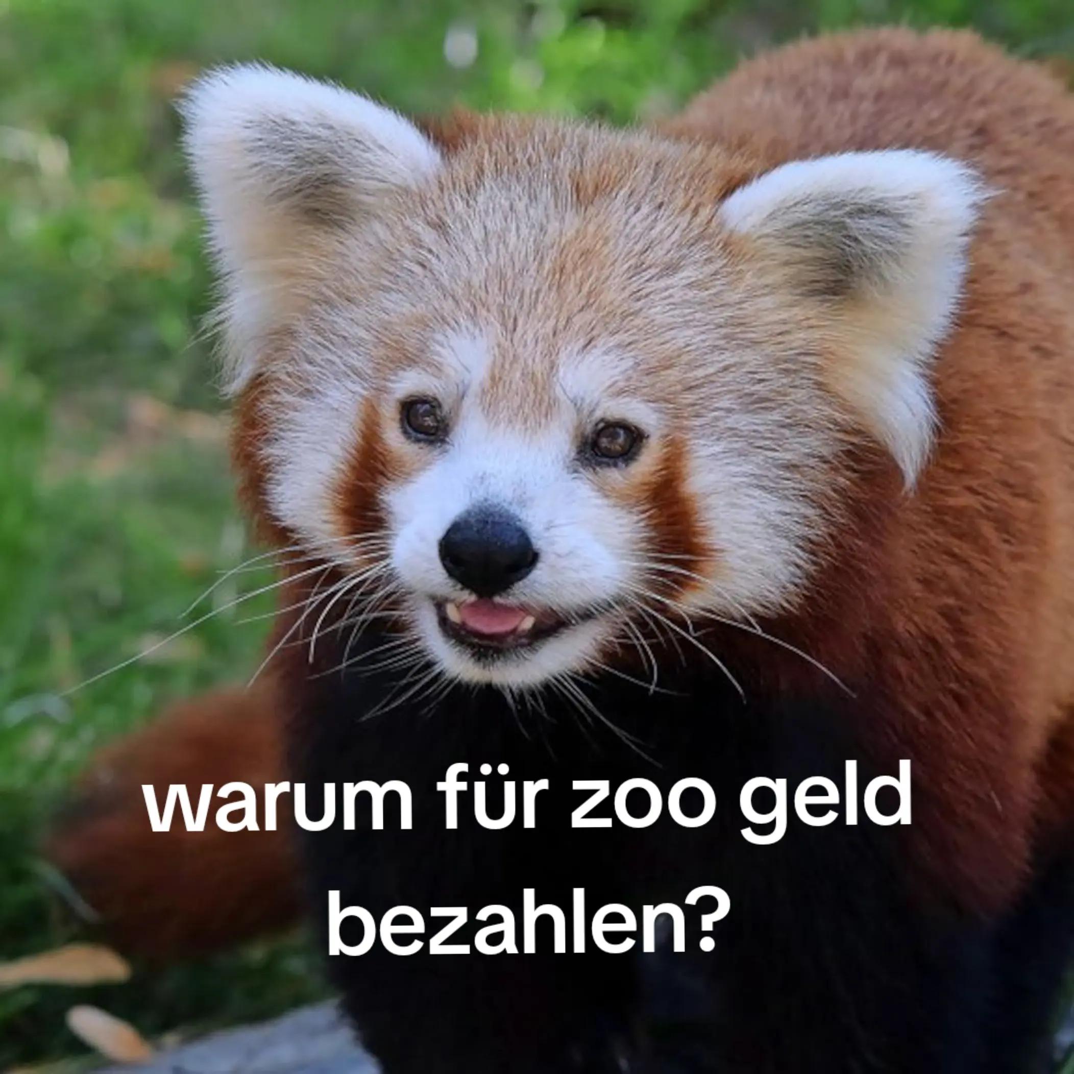 @Lena🌺🇩🇪