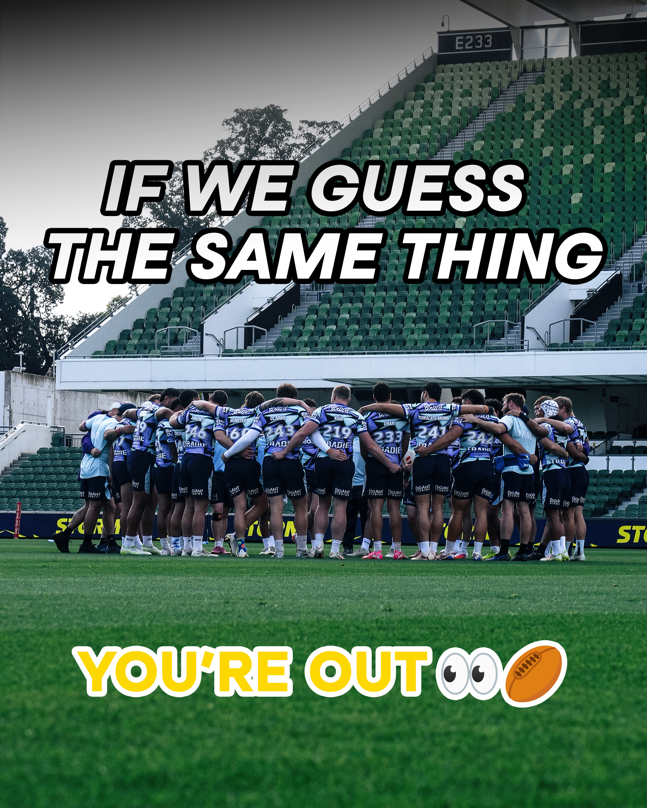 @Melbourne Storm