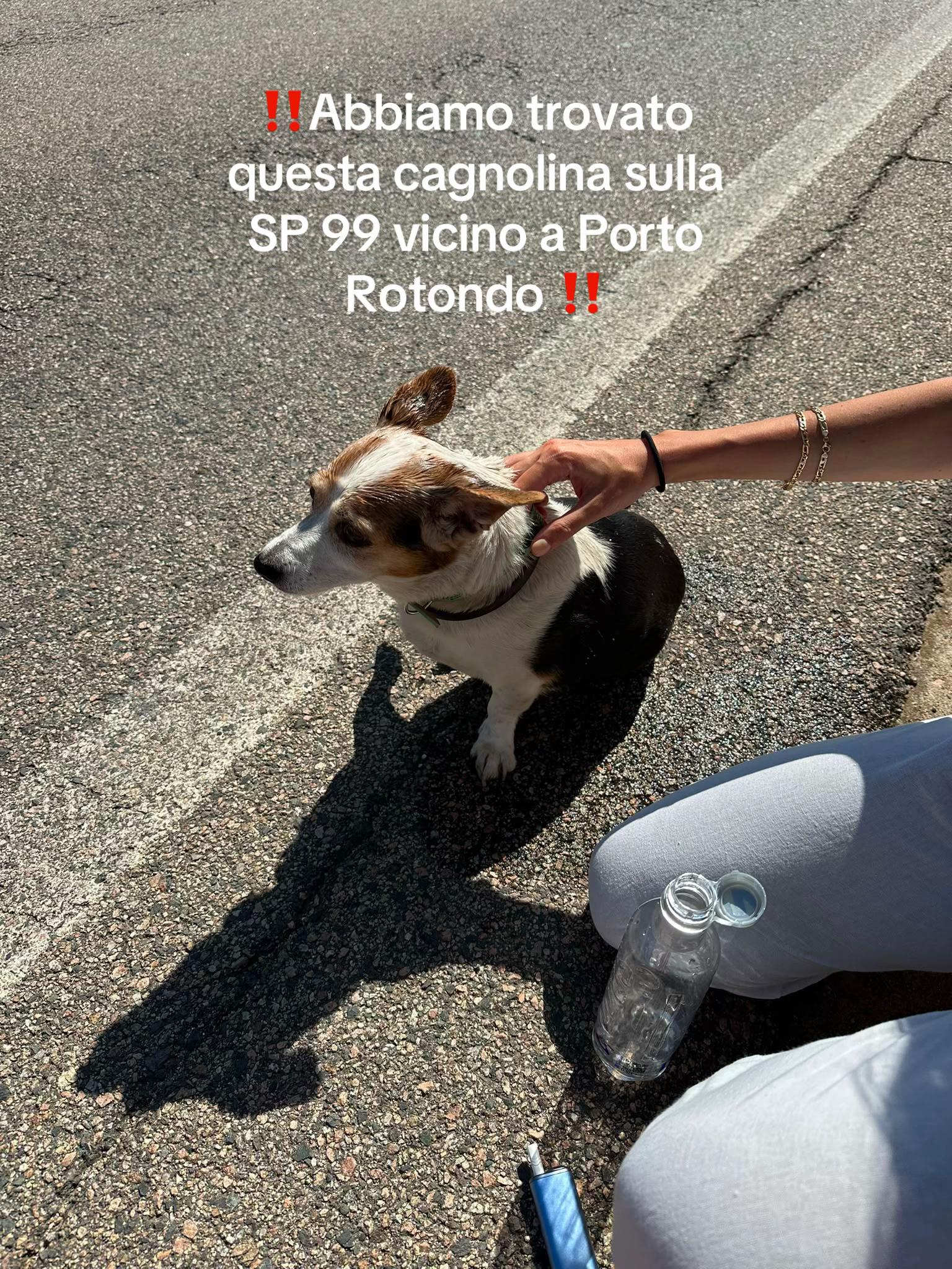 @Giulia🧚🏼♀️🧜🏼♀️🧝🏼♀️