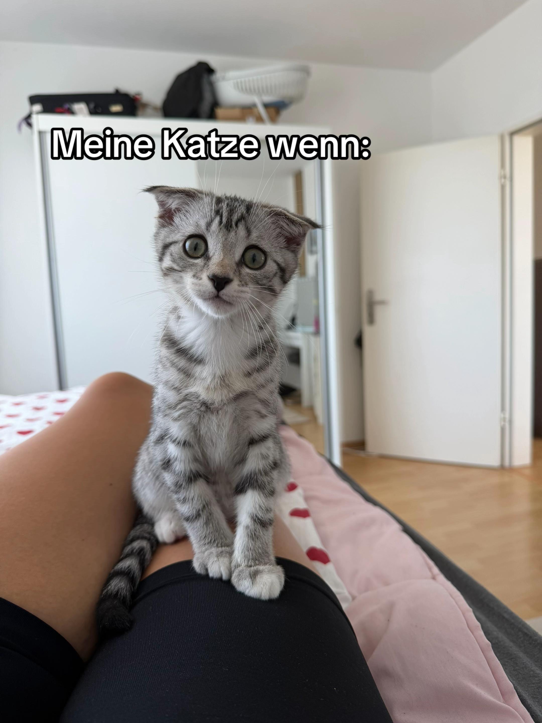 @Miraynur