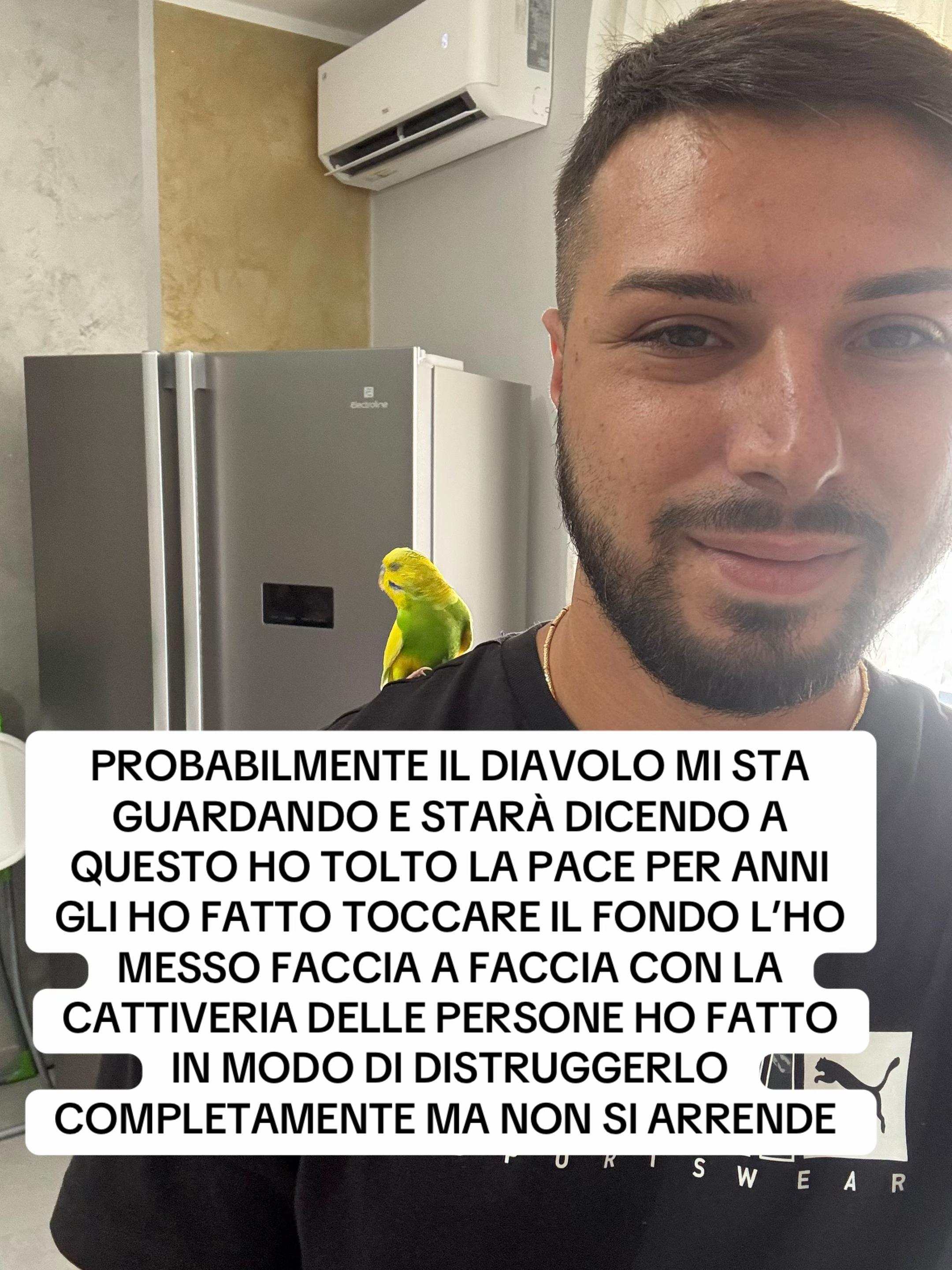 @Damien bittolo