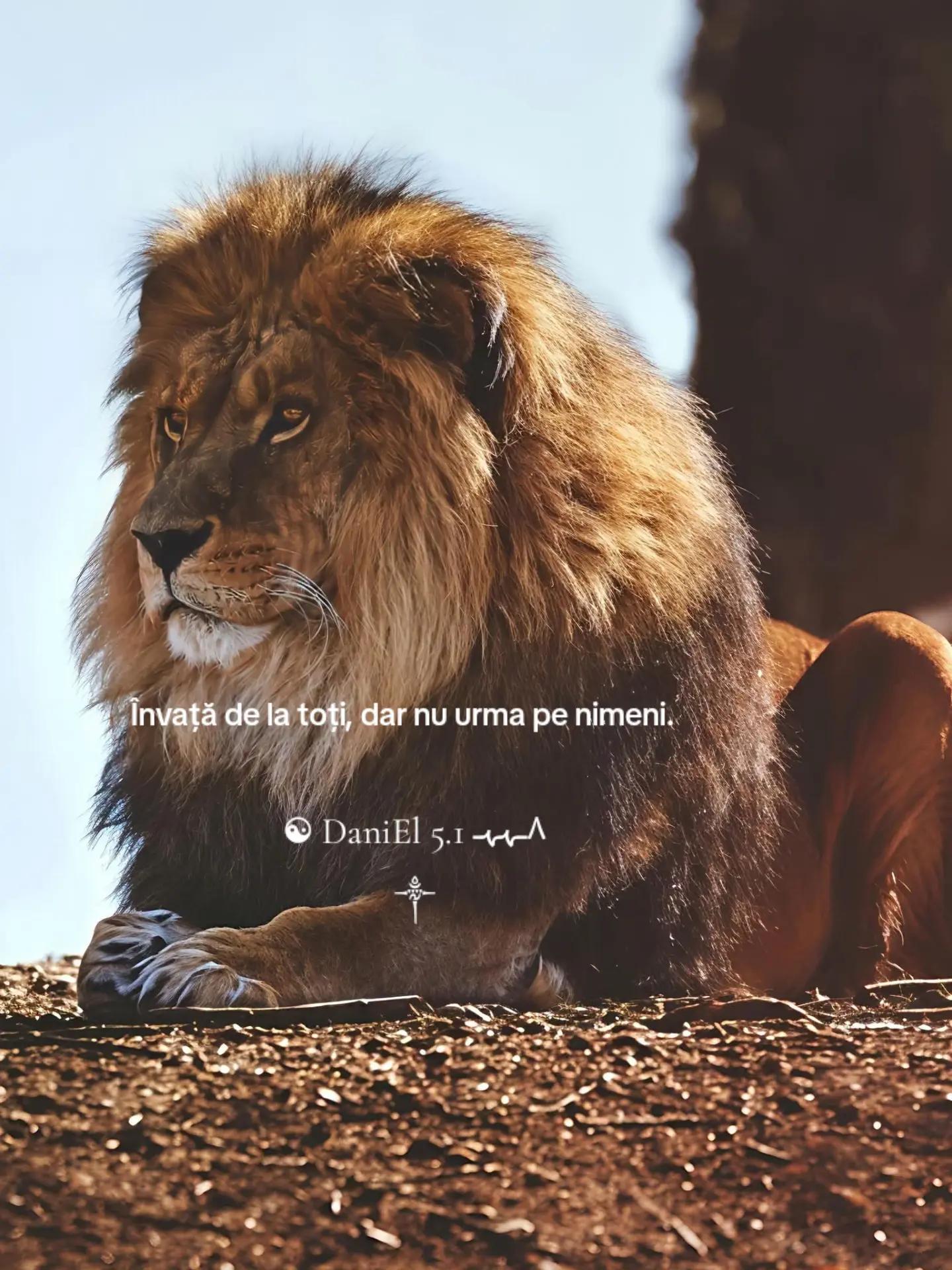 @☯ DaniEl 5.1 ٨ـﮩﮩـ