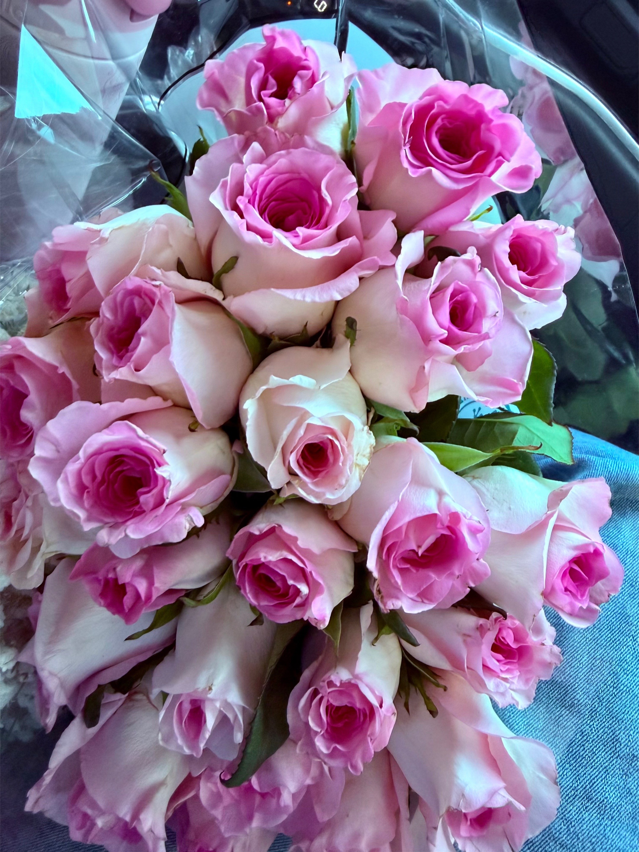 @ANA 💐