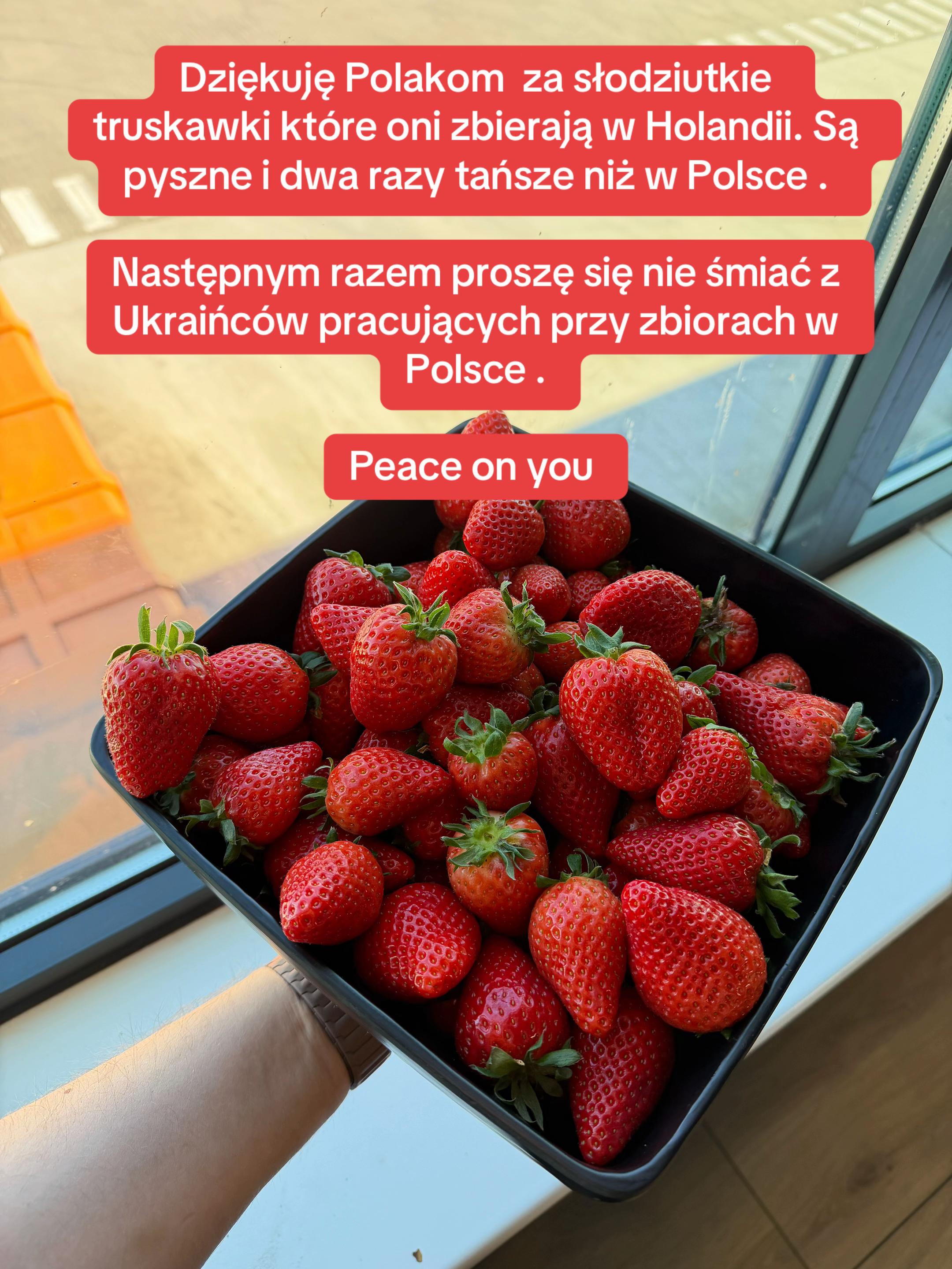 @Dobry Wiecz&oacute;r