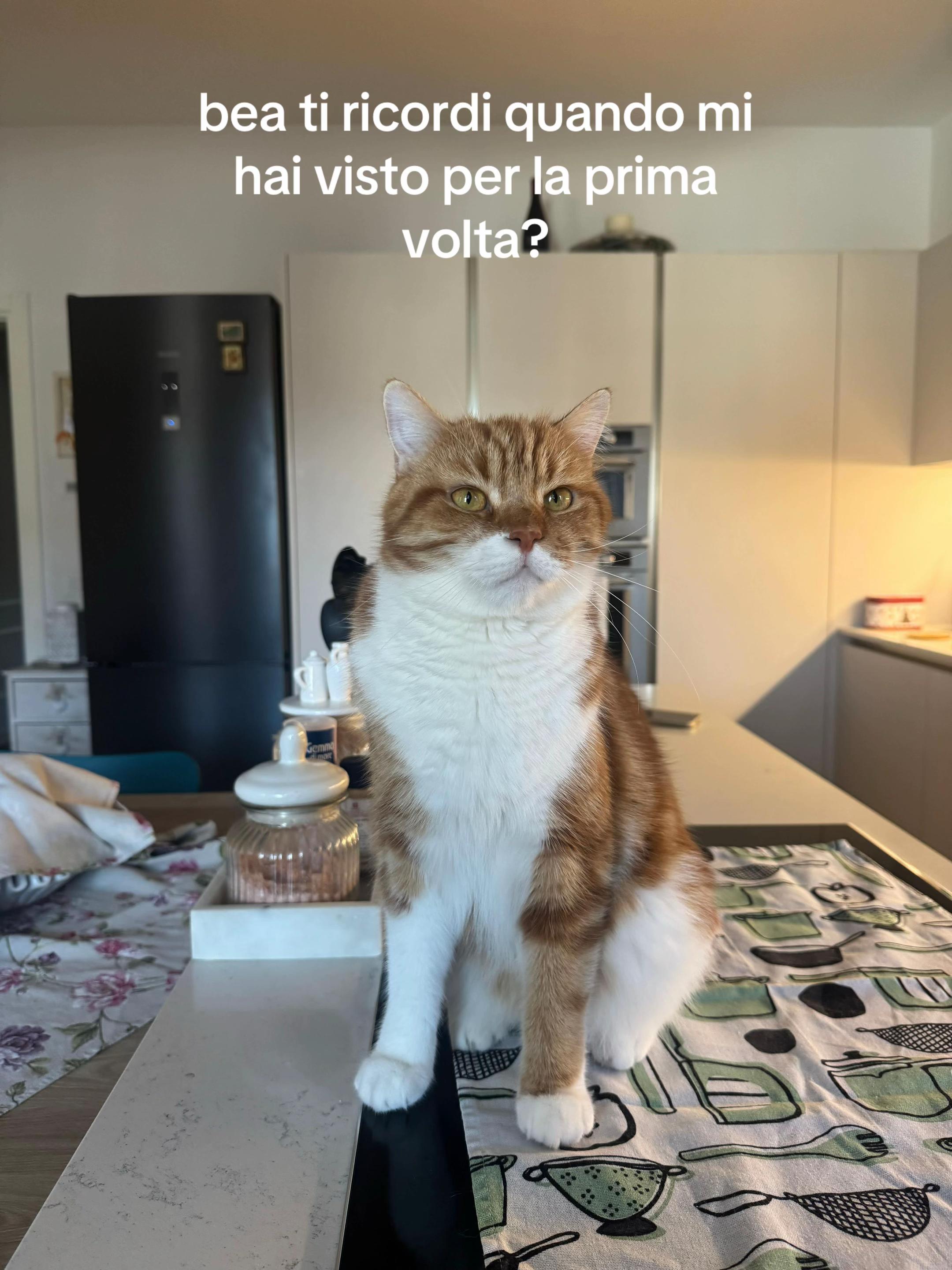 @beaa