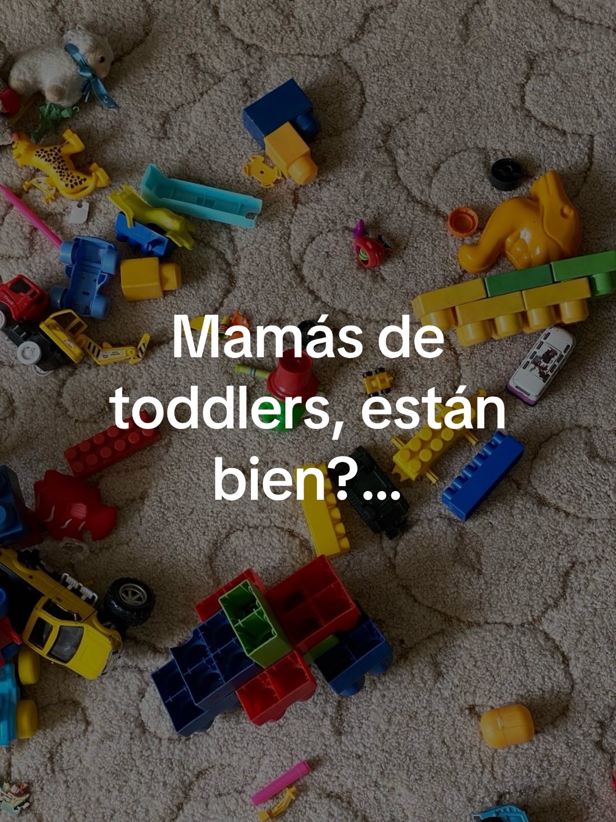 @Mirka Chávez