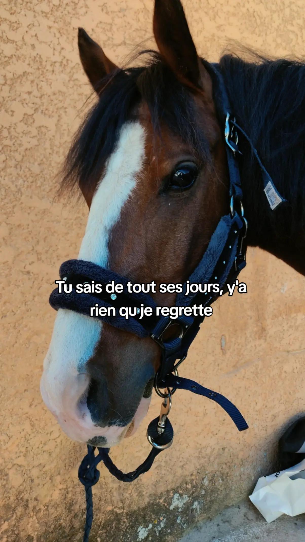 @~•°Moi_et_idream°•~