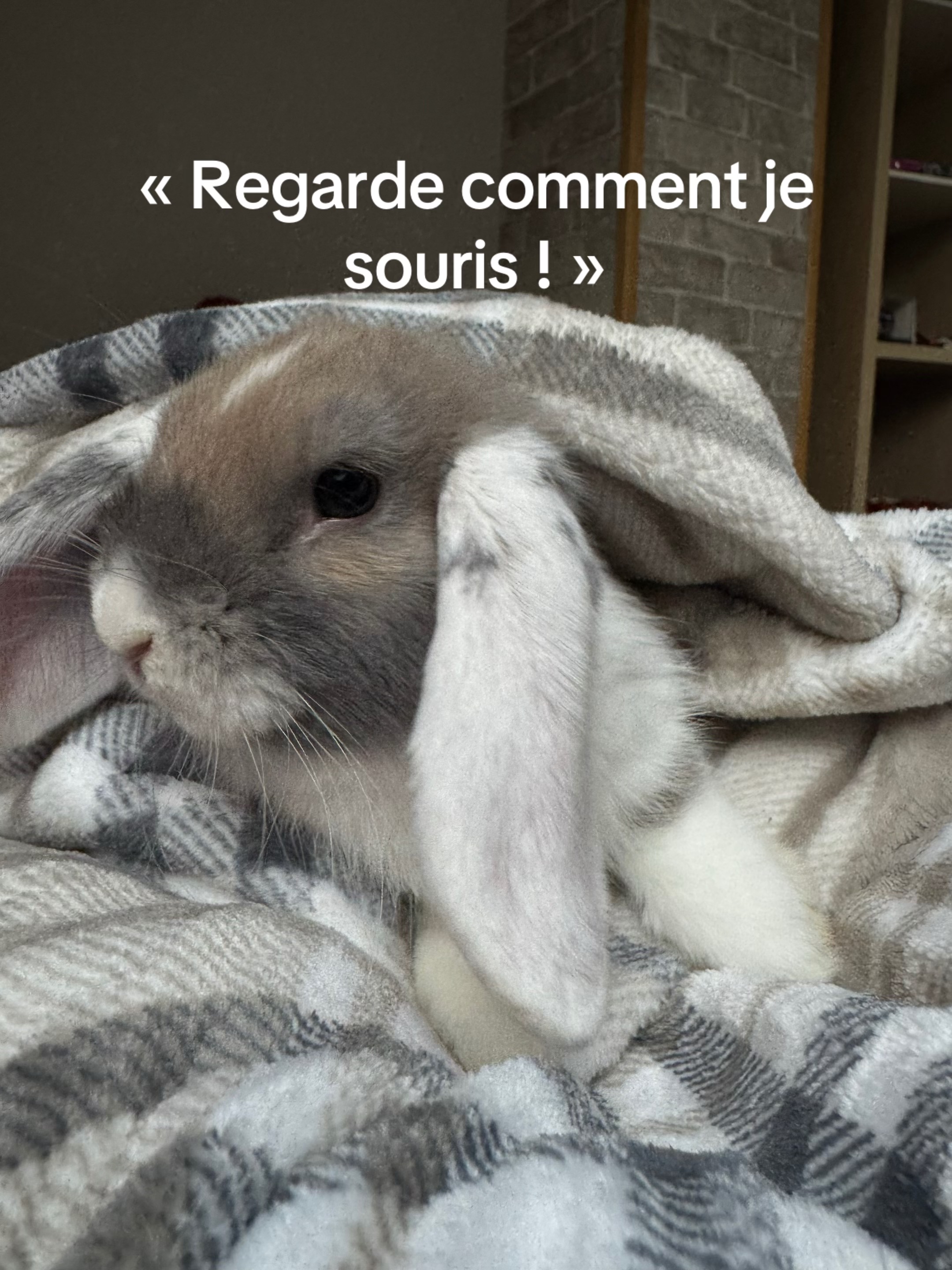 @La-Petite-6P