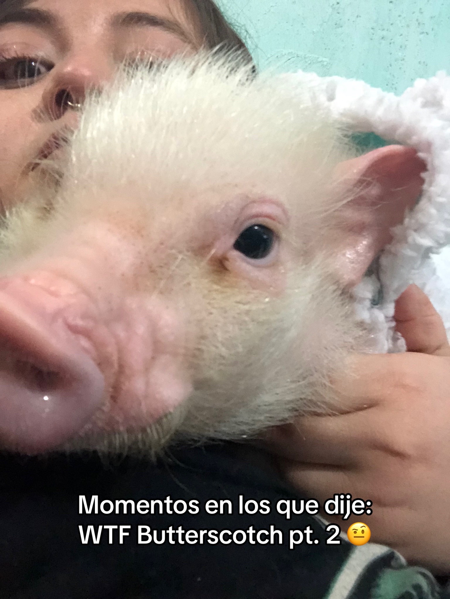 @El Bubustacio 🥵