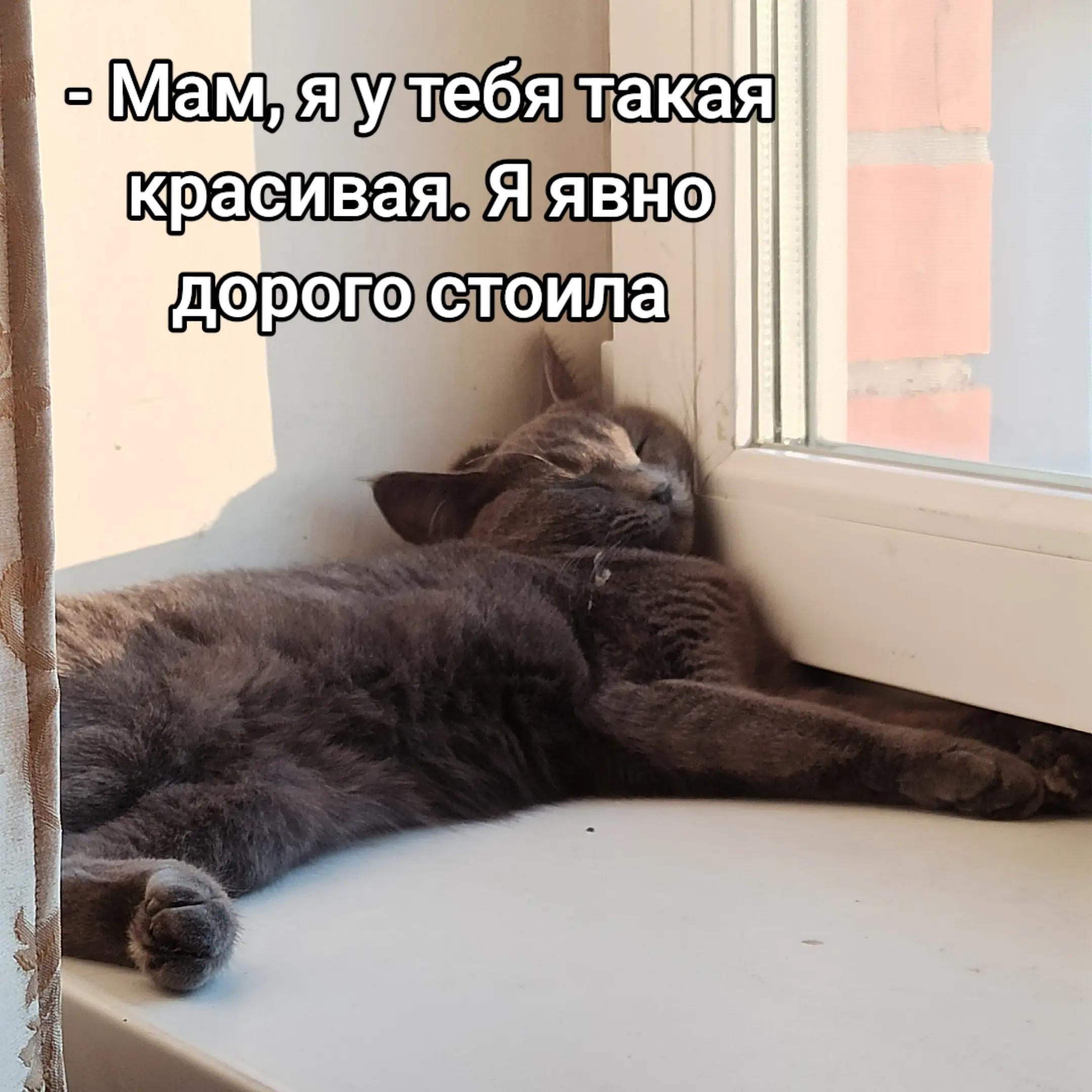 @Мамина плесень