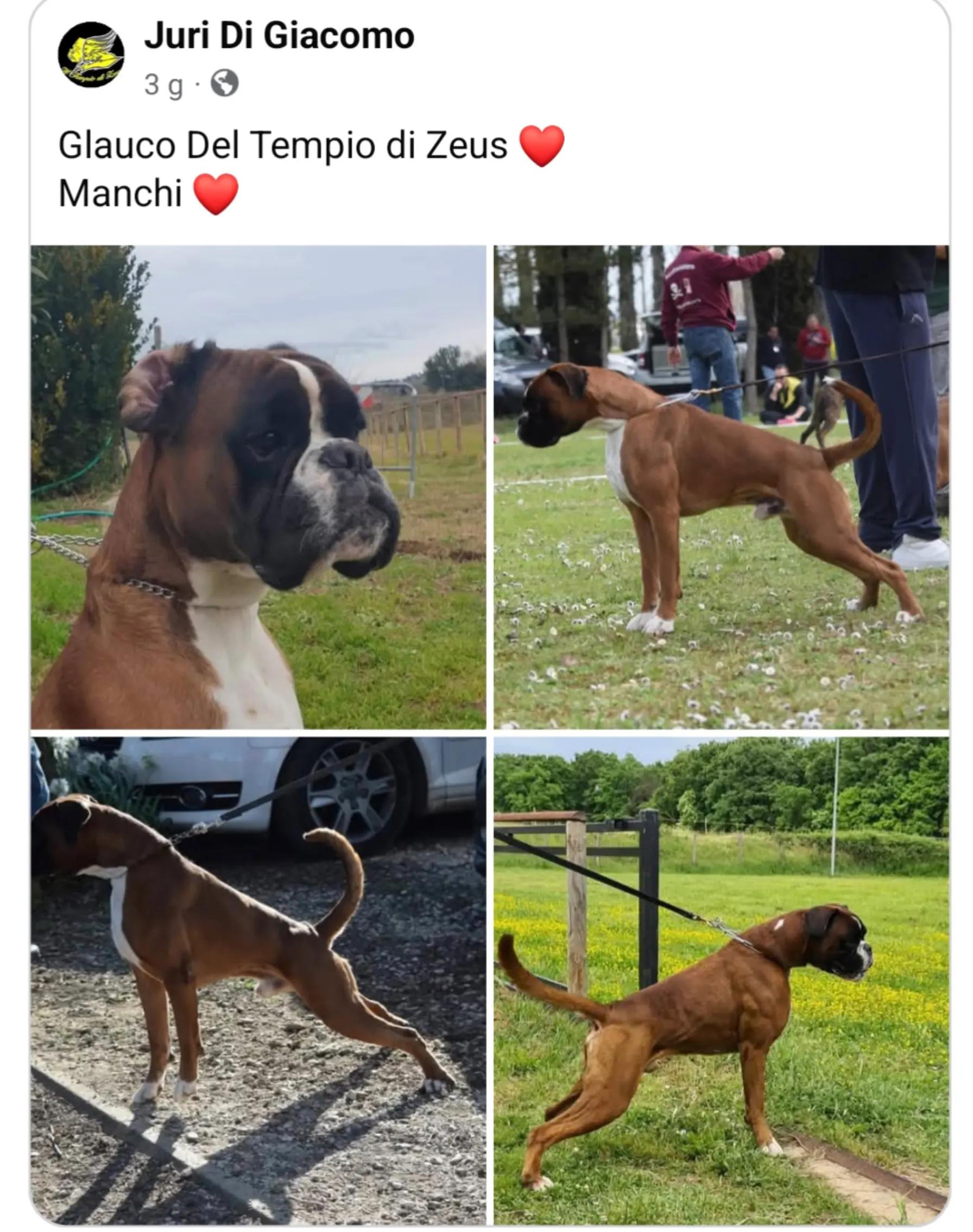 @Del Tempio di Zeus