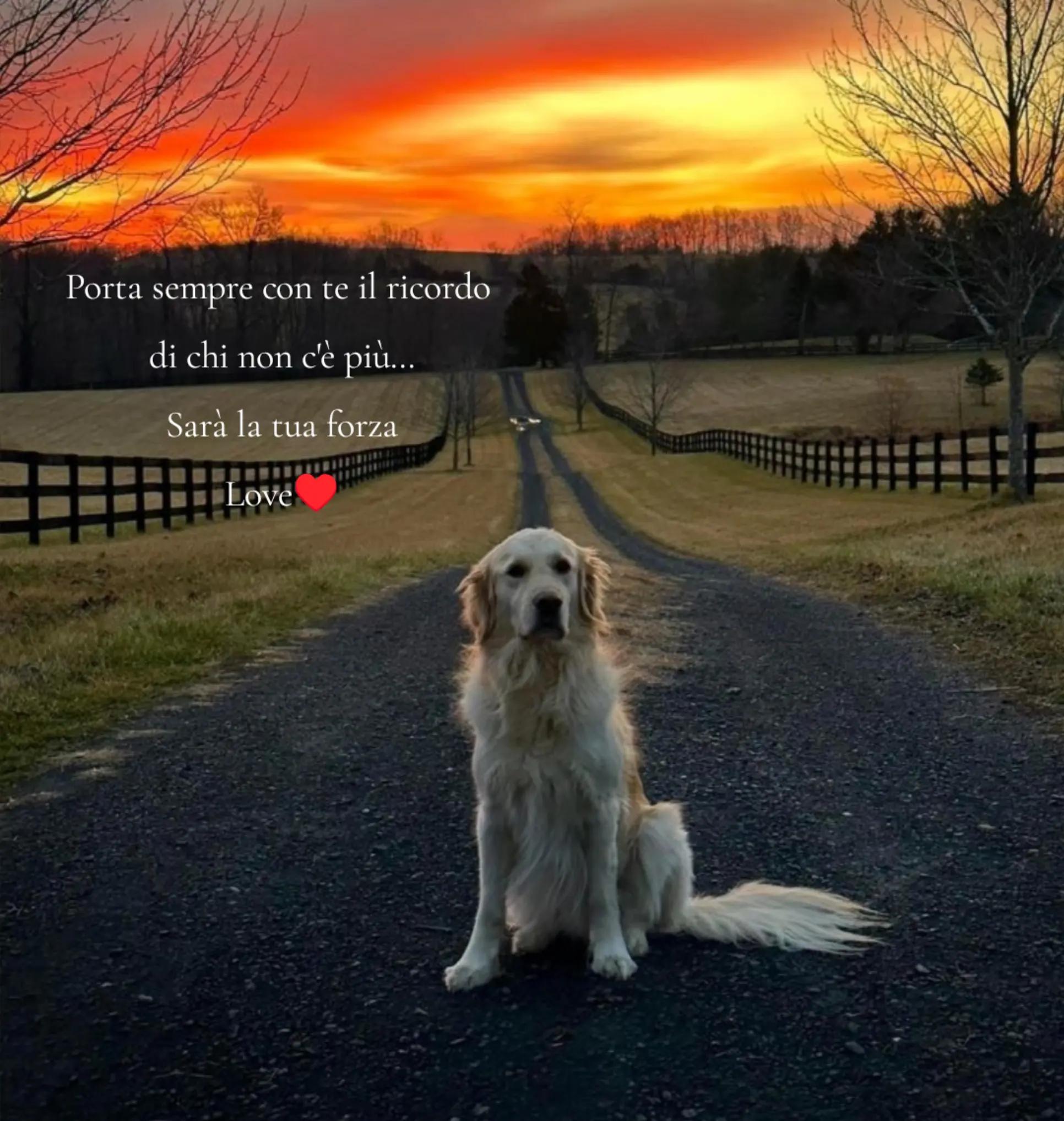 @Rossana♥️Billy♥️ Léon ♥️