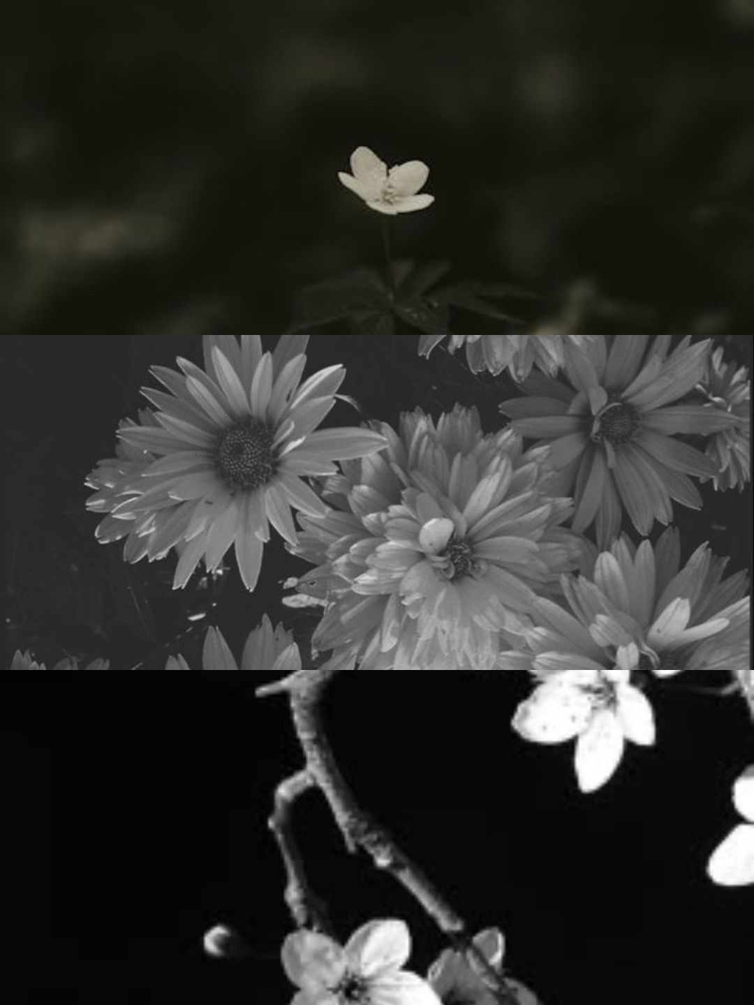 @𝓐𝓵𝓮𝔁