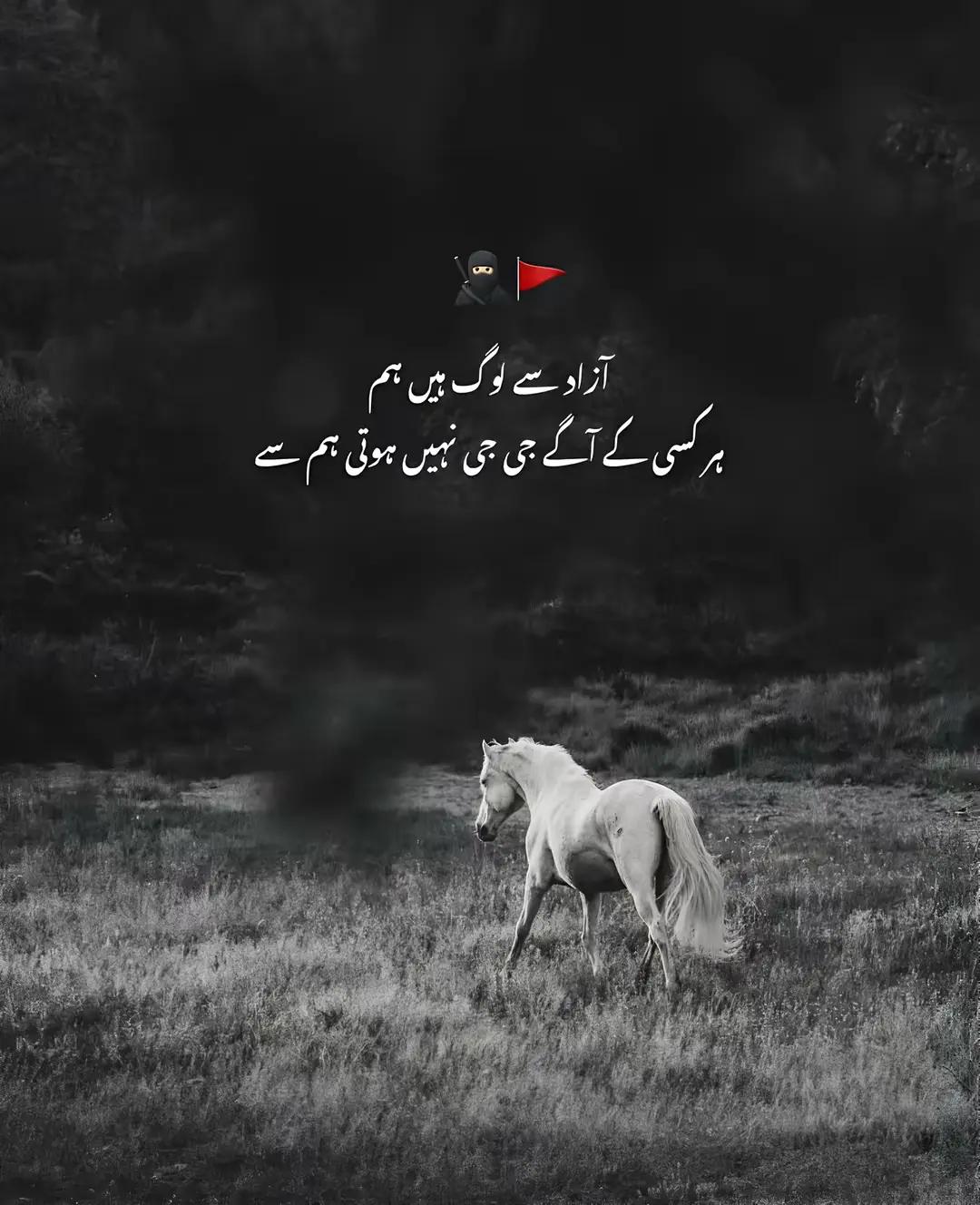 @Ilyas sheikh