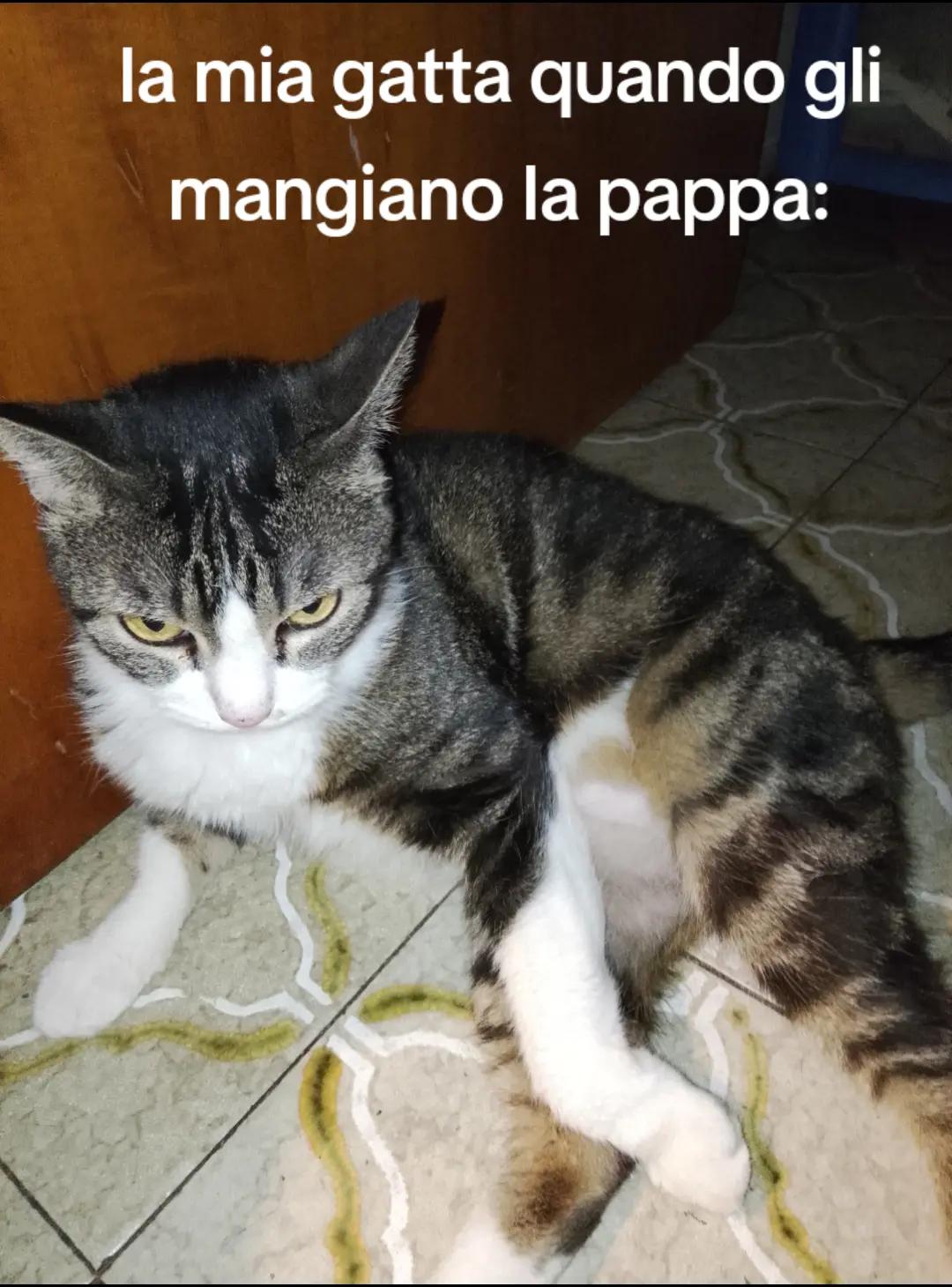 @Alessia Tognoli