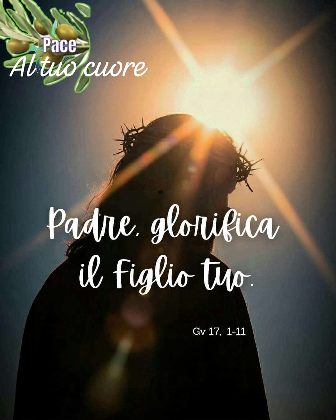 @Clelia Di Caprio