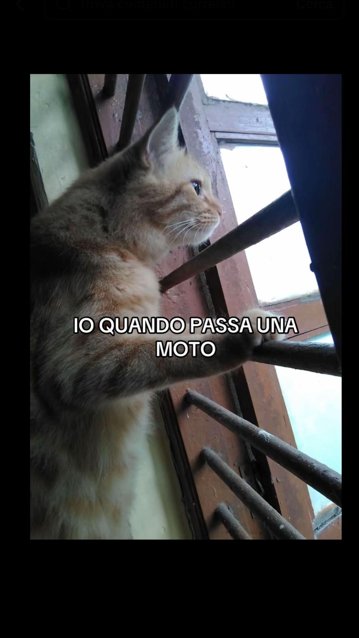 @Alessio👑