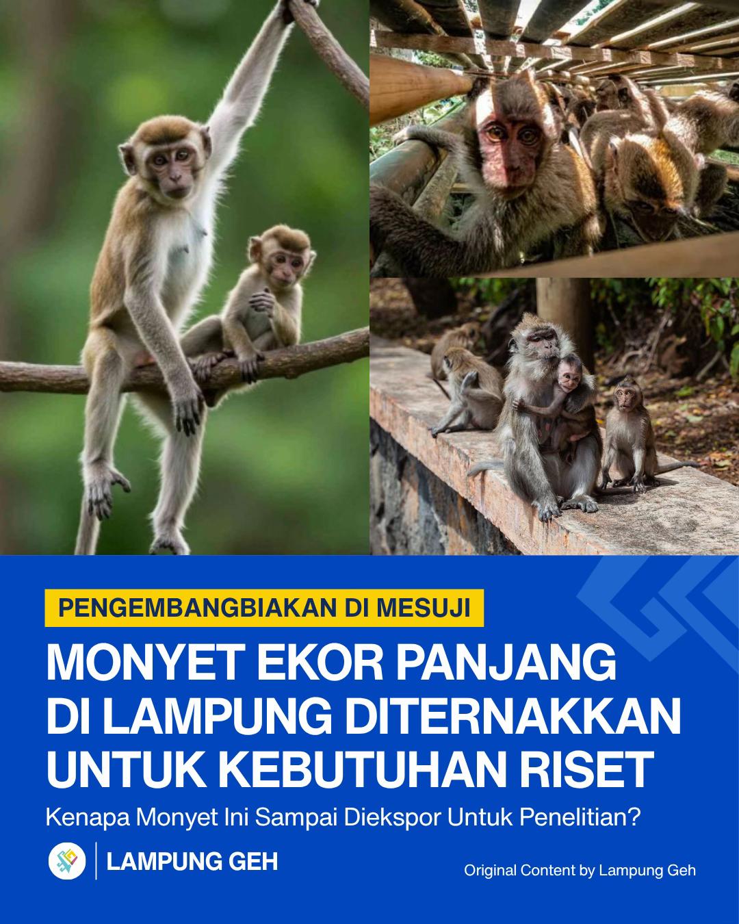@Lampung Geh!