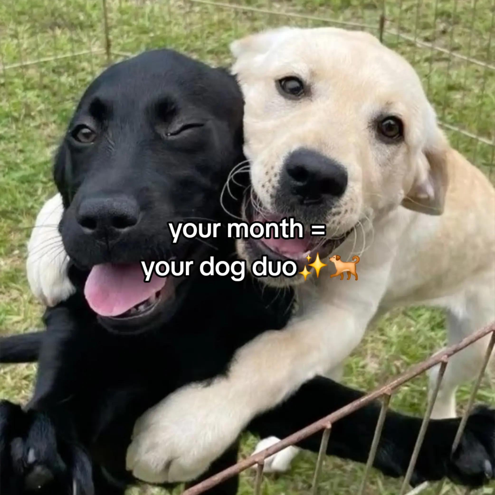 @z3us