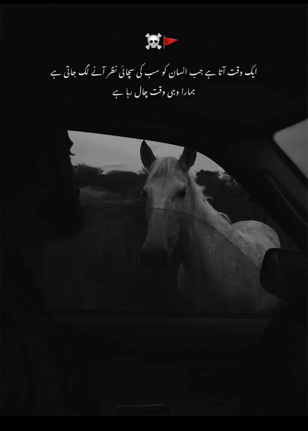 @AB Shah🥷🏾