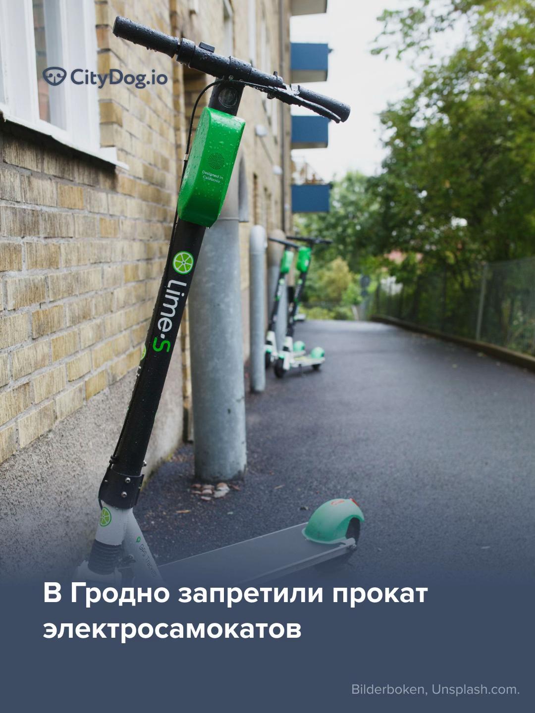 @CityDogby журнал о Минске