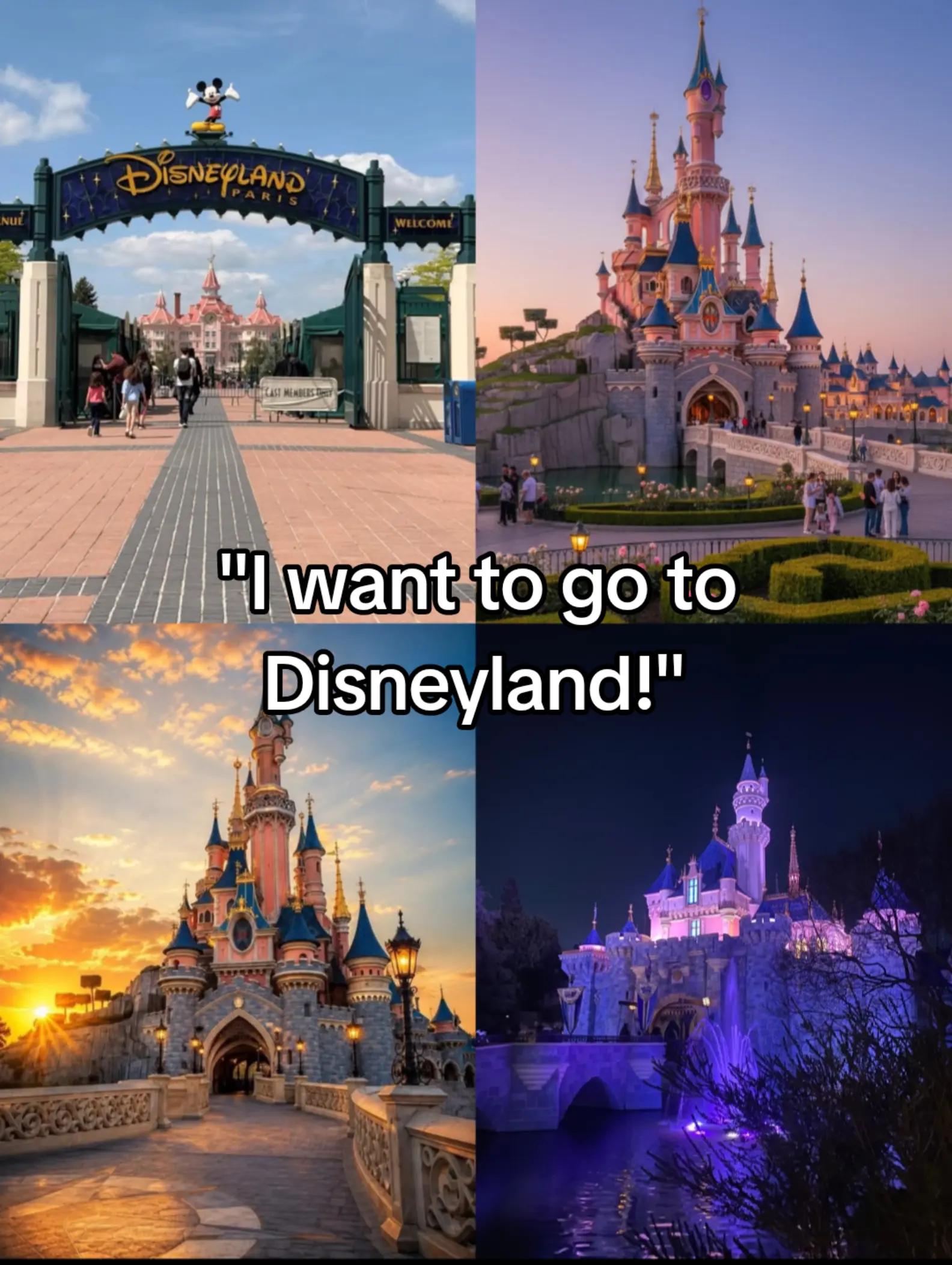 @𝘿𝙤𝙜𝙙𝙖𝙮☆