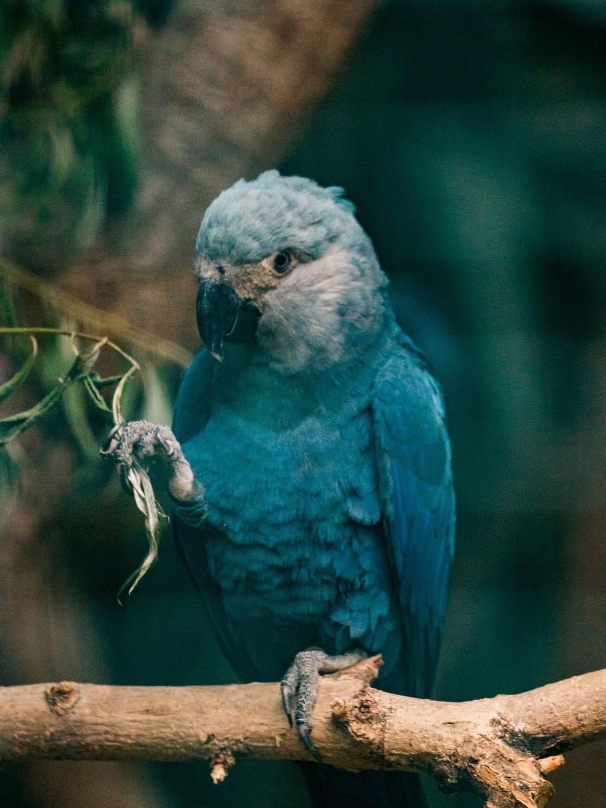 @𝓛𝓾𝓬𝓪_388