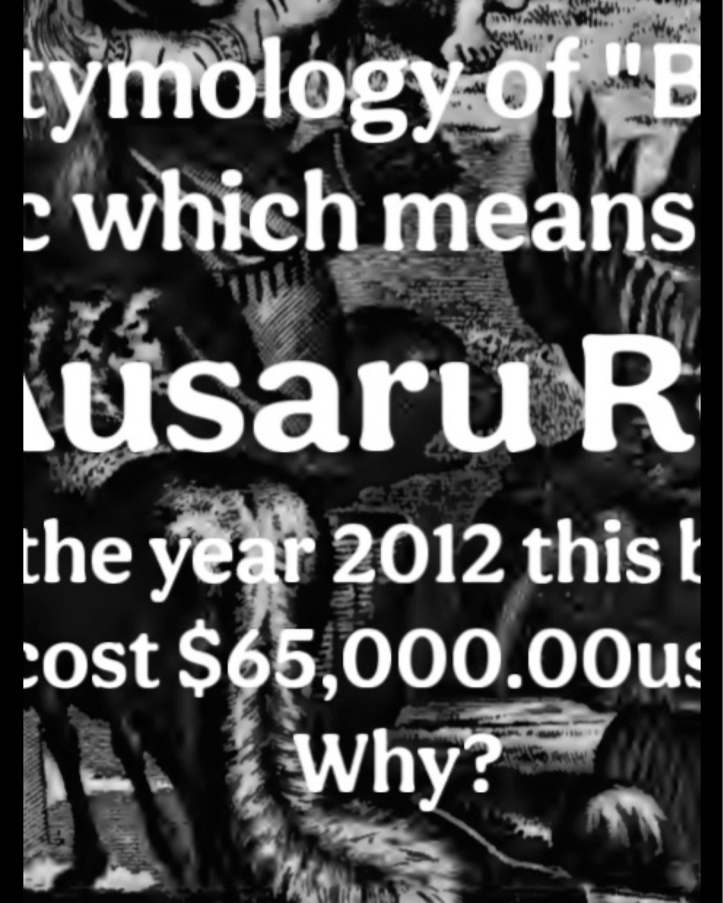 @Ausaru_re