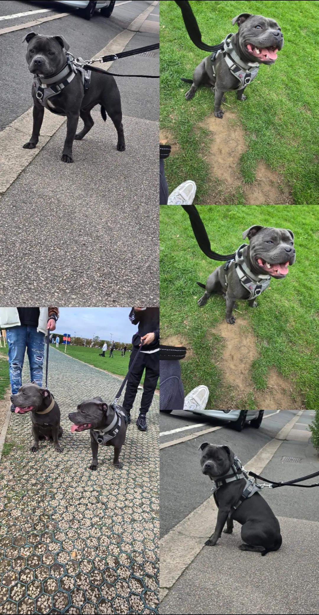 @𝕆𝕕𝕚𝕟🐾