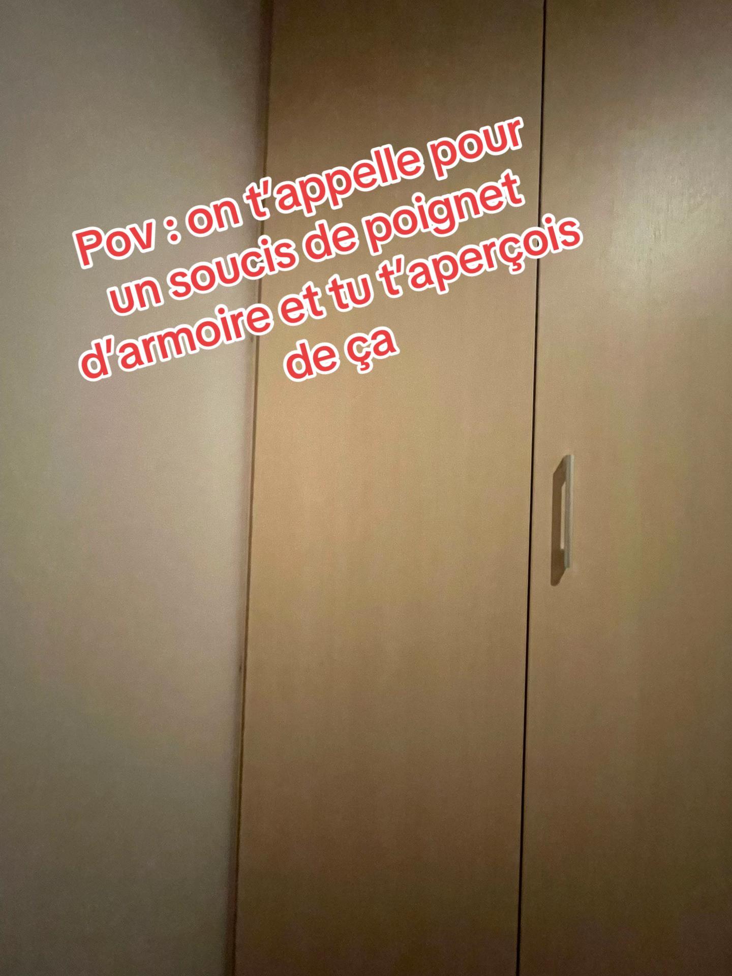@Stefane🦁