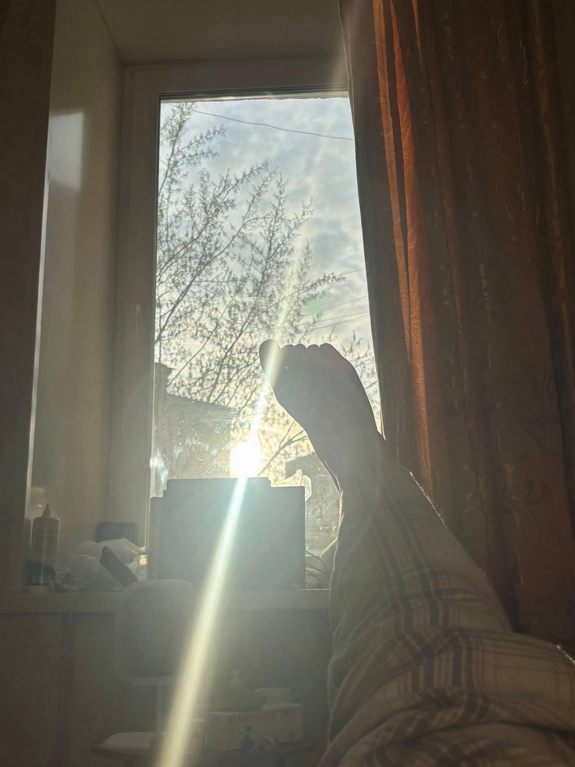 @potnushi