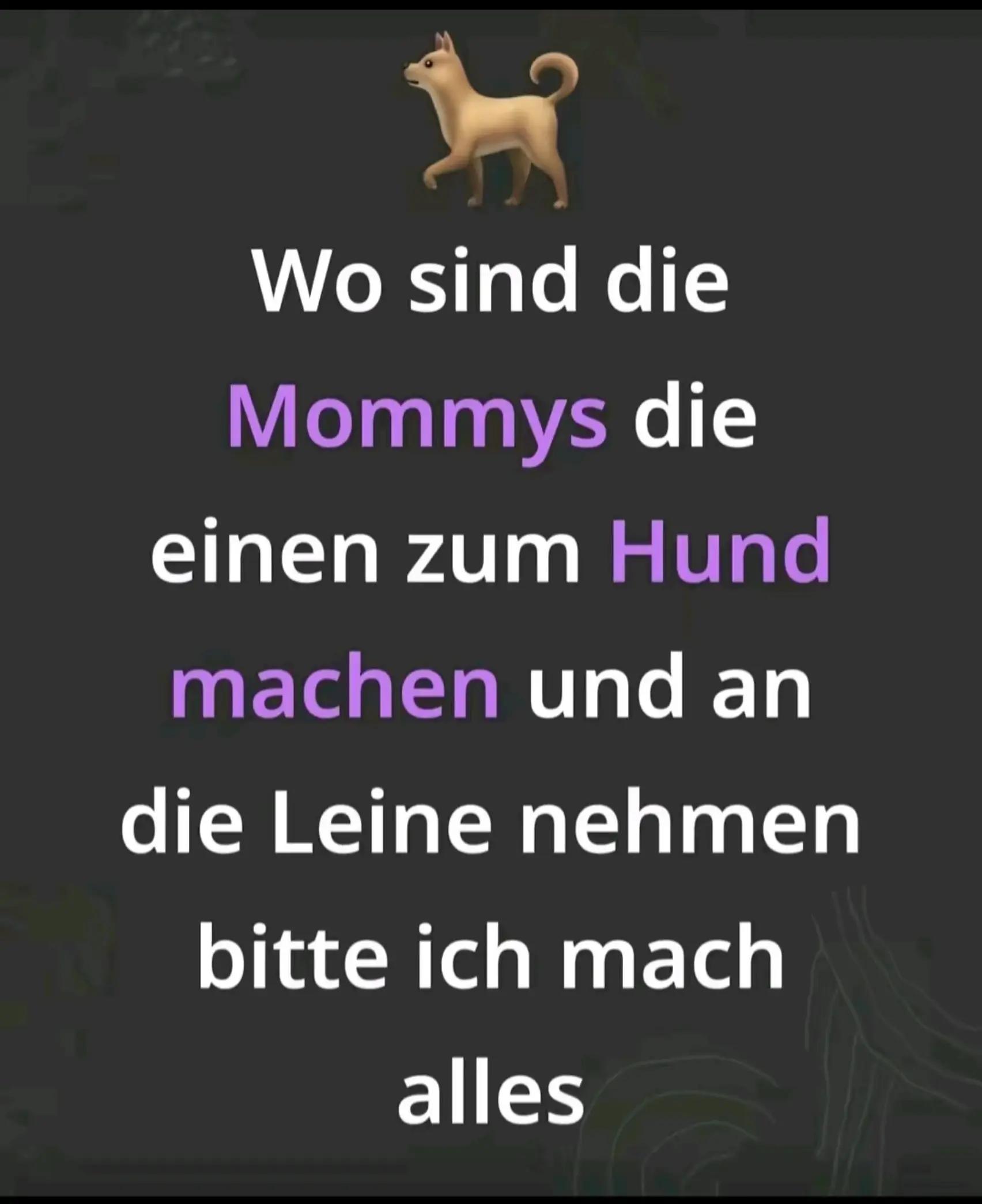 @Belle für jedes Girl 🤤🙇♂️