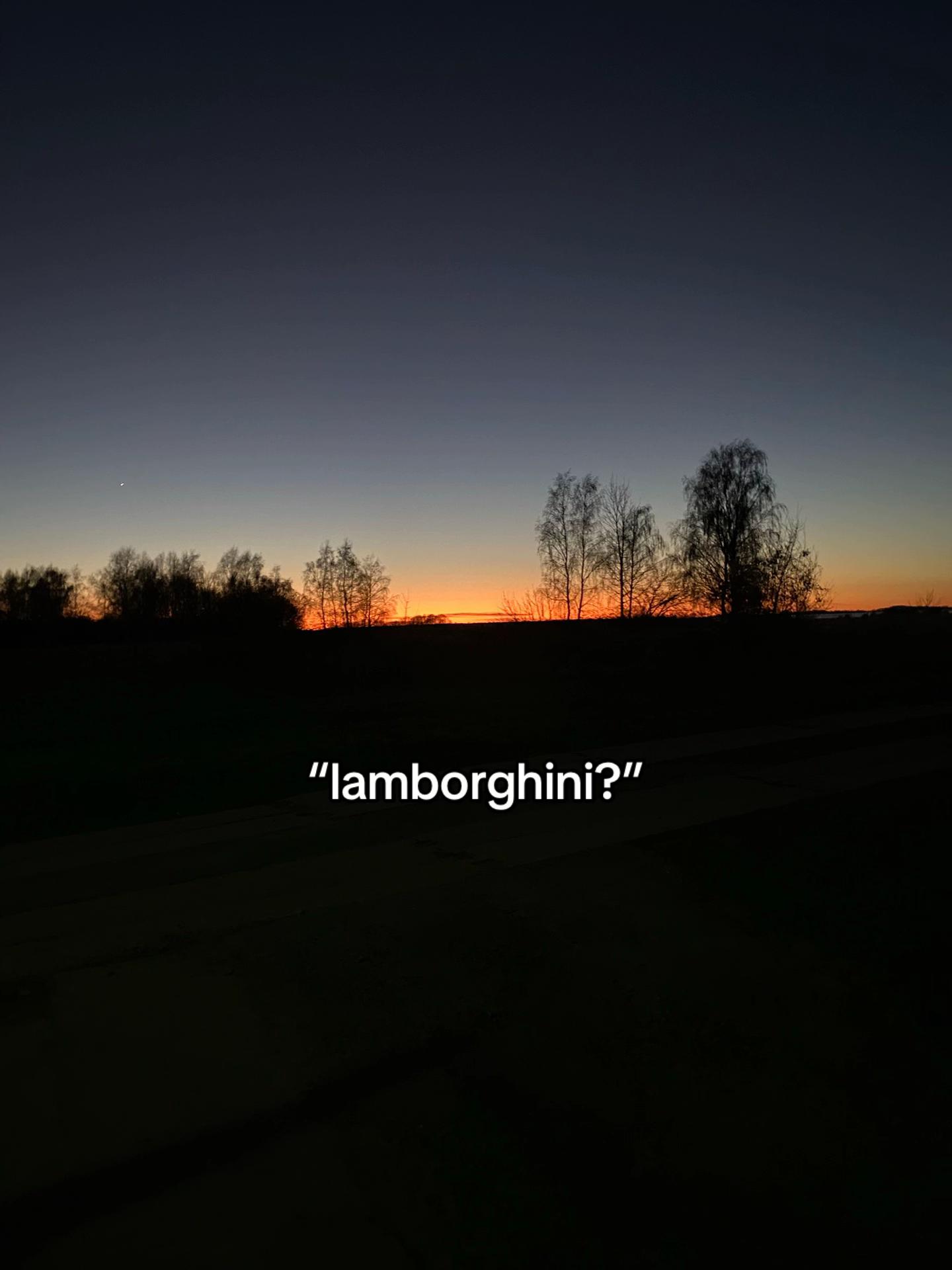 @ℋ ˚˖𓍢ִ໋🦢˚