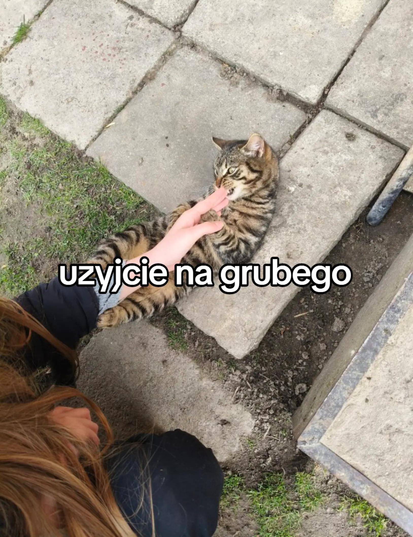 @pickkley