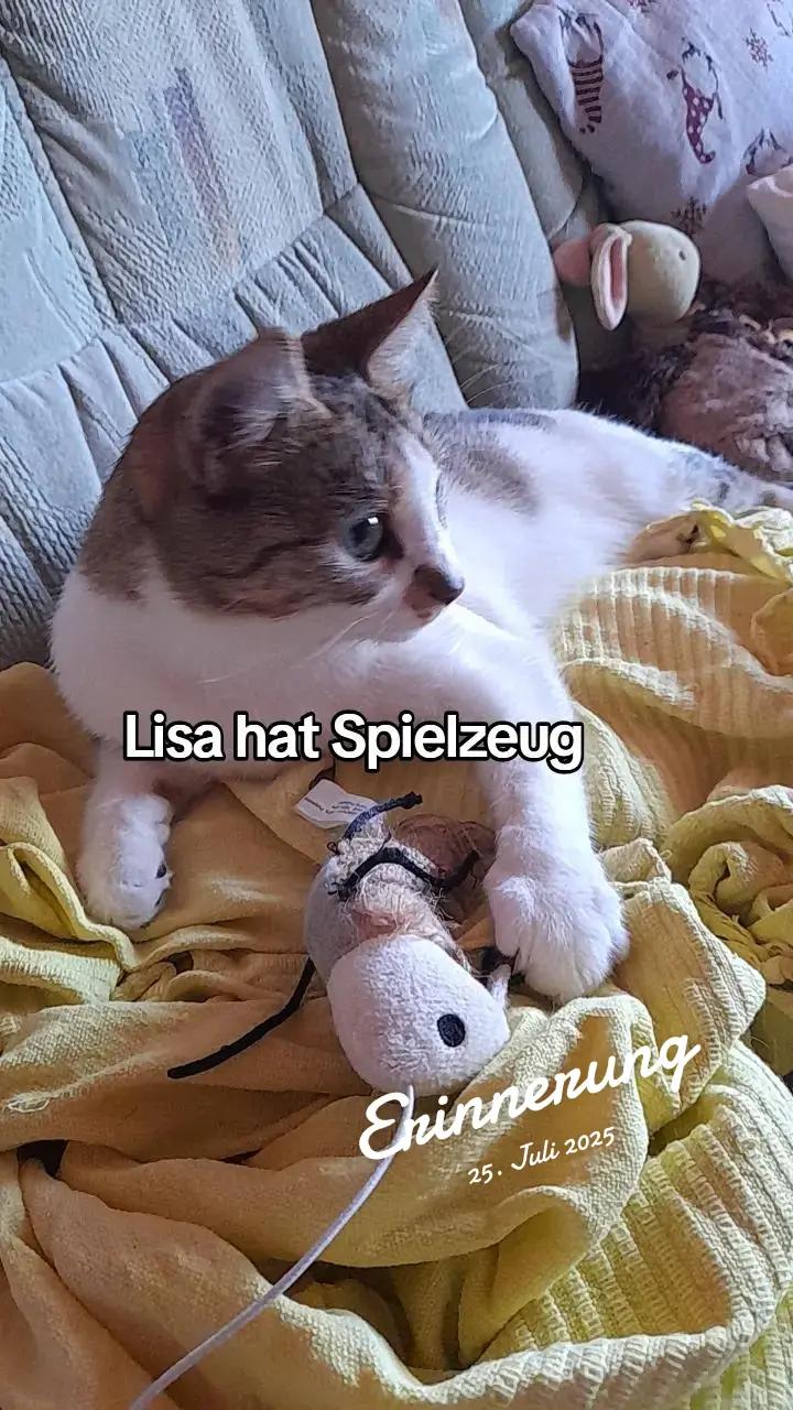 @ahornsirup