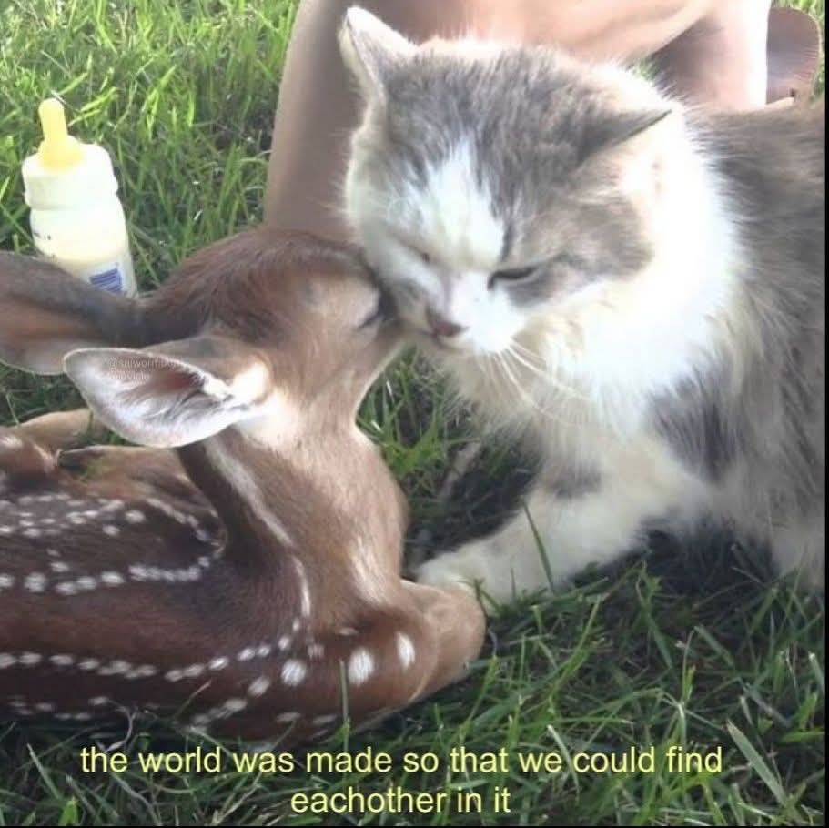 @Bonnie Darko
