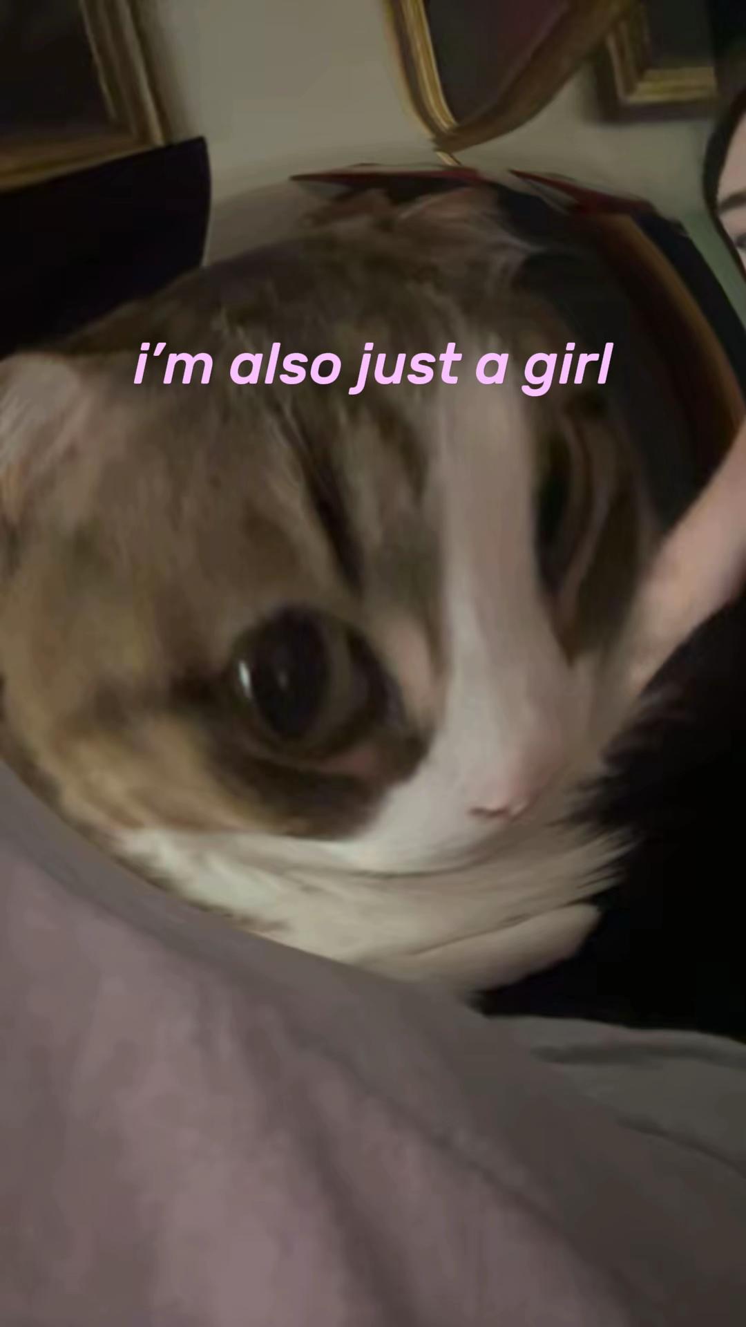 @luci