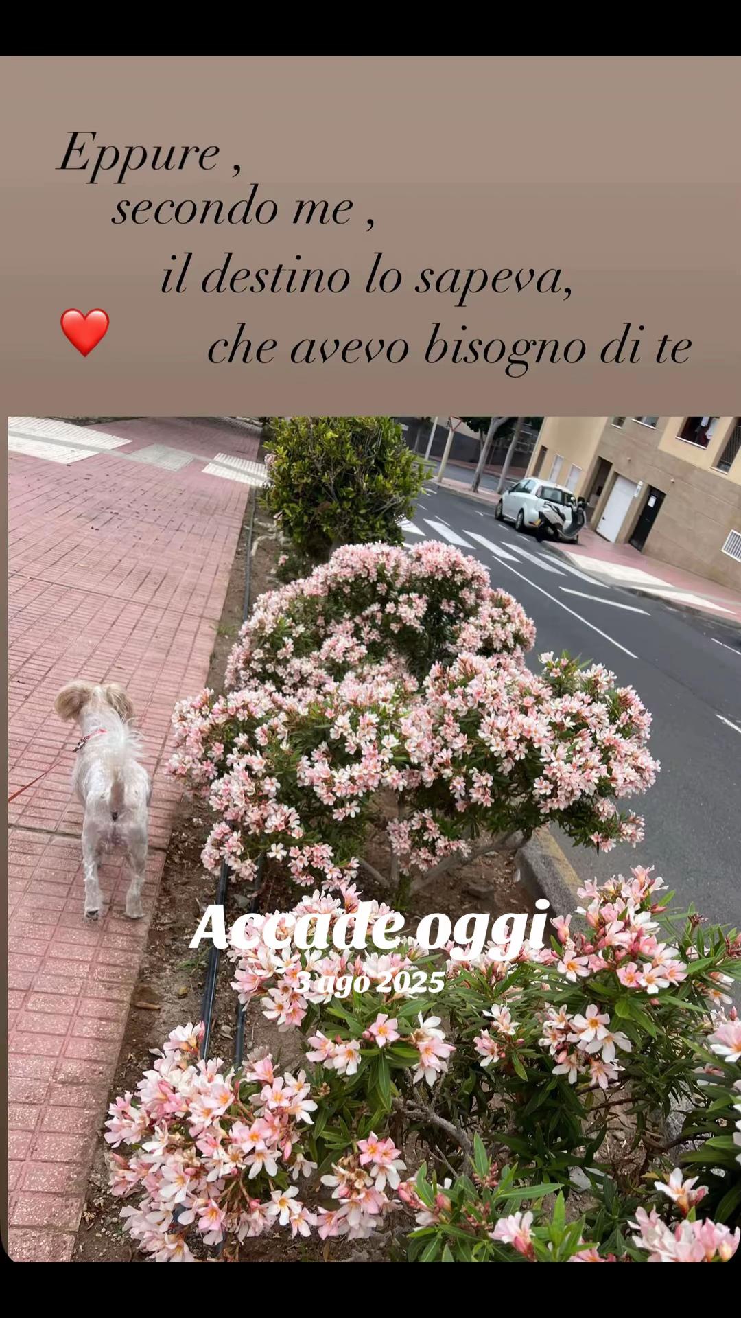 @Micina&mdash; annamaria