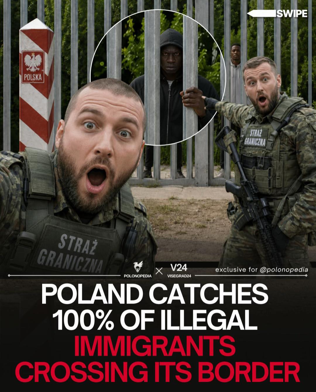 @Visegrad24