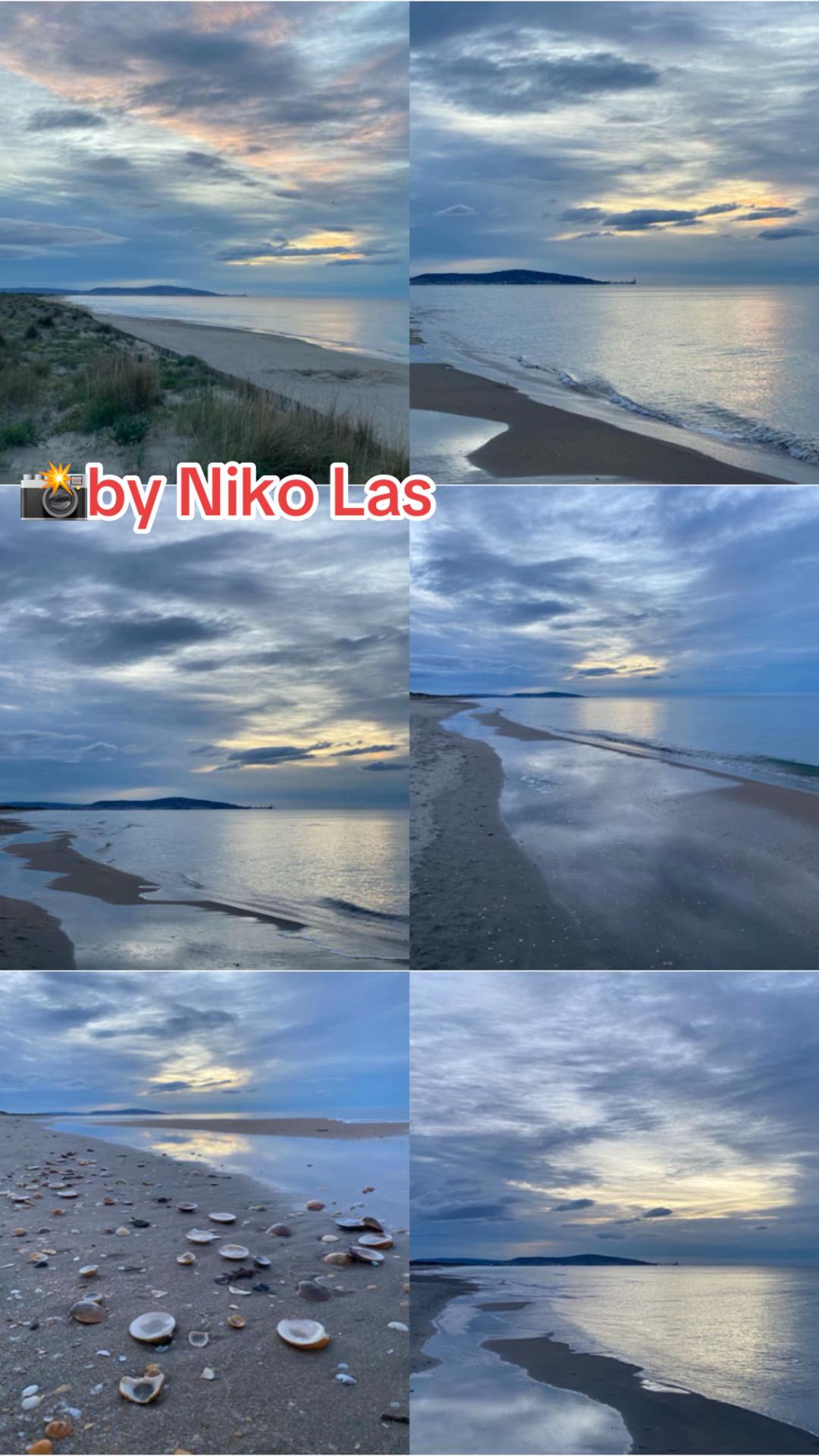 @Niko Las