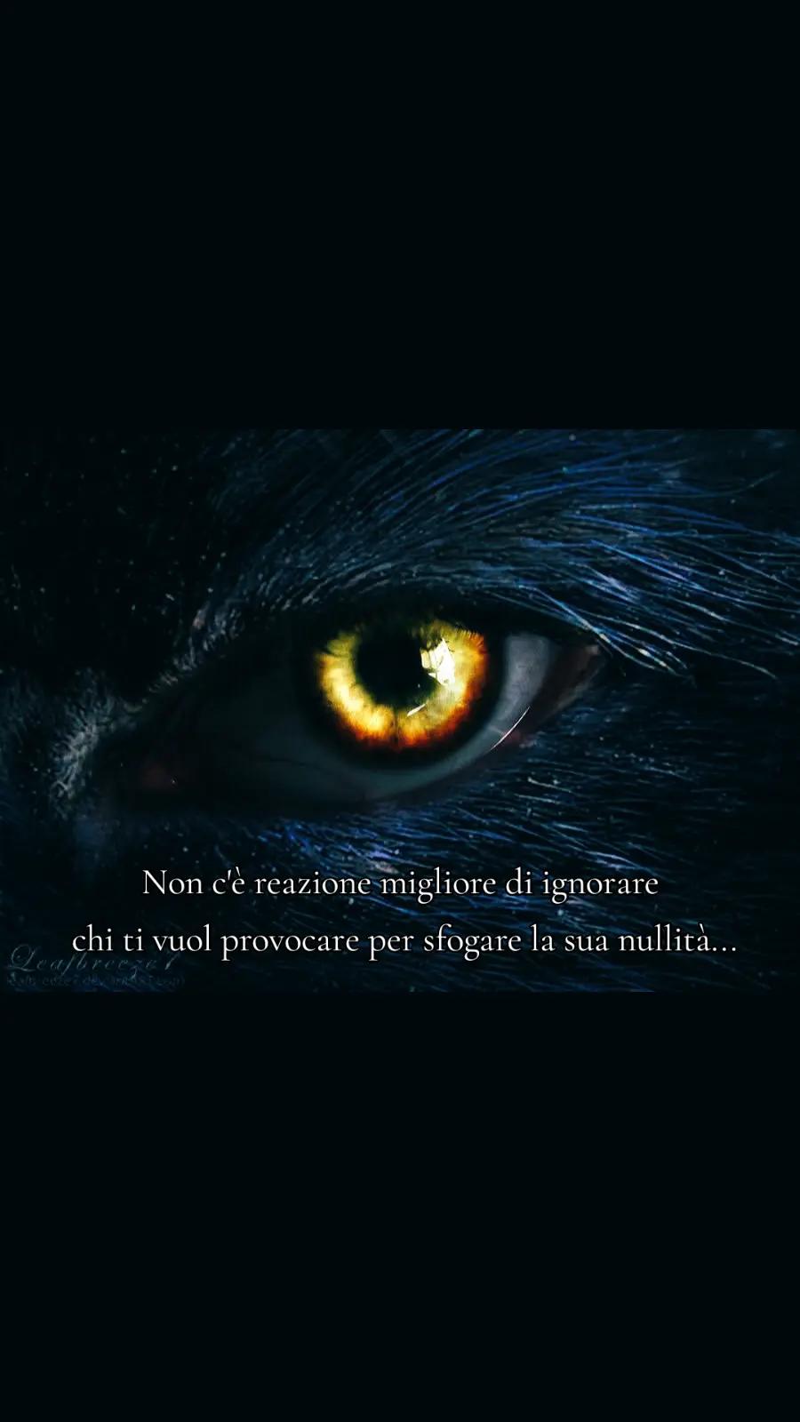 @🐺L𝖆dyW𝑜𝖑𝖋B𝚕𝒶𝚌Ҡ 🐺