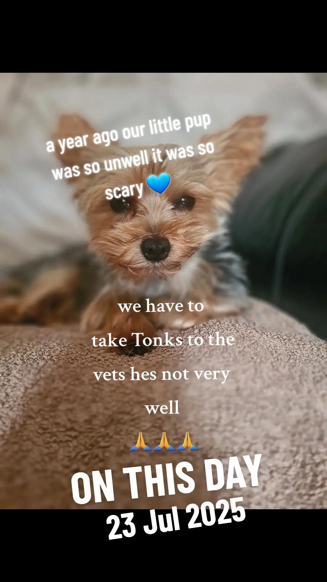 @claire🌈bellaBert Ernie💙Tonks