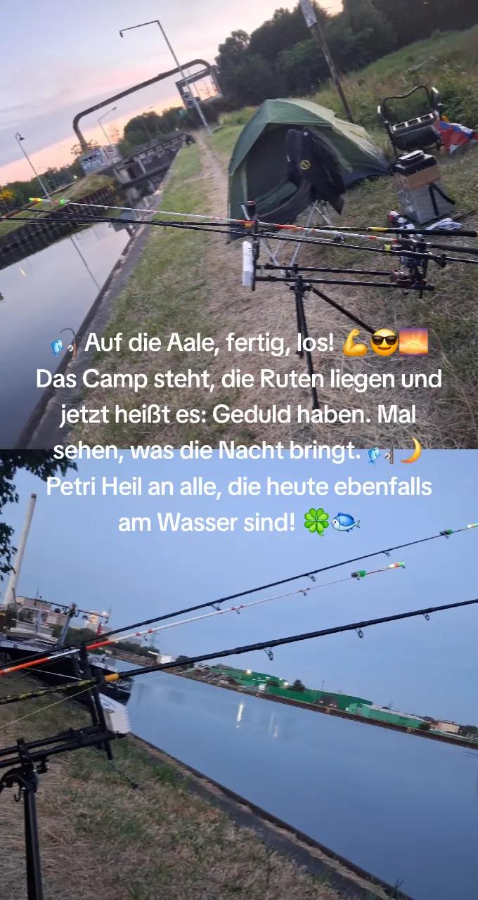 @Angelgerne