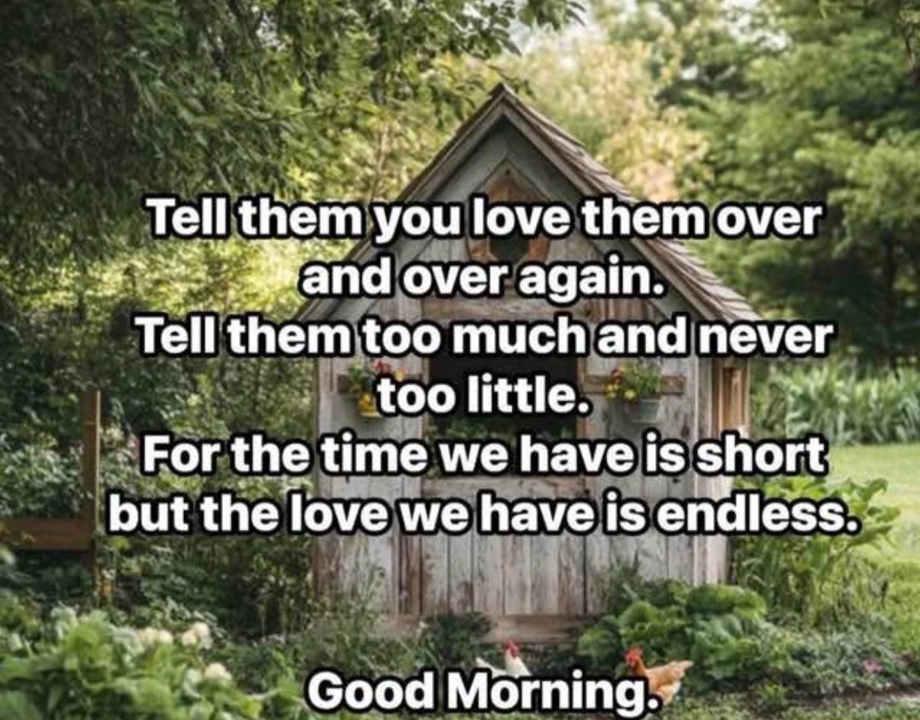@Mark Scott