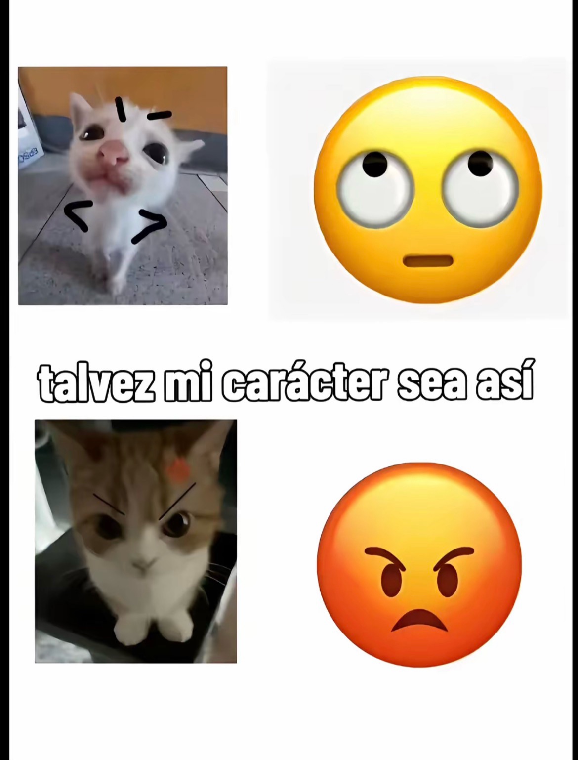 @Xvv.44